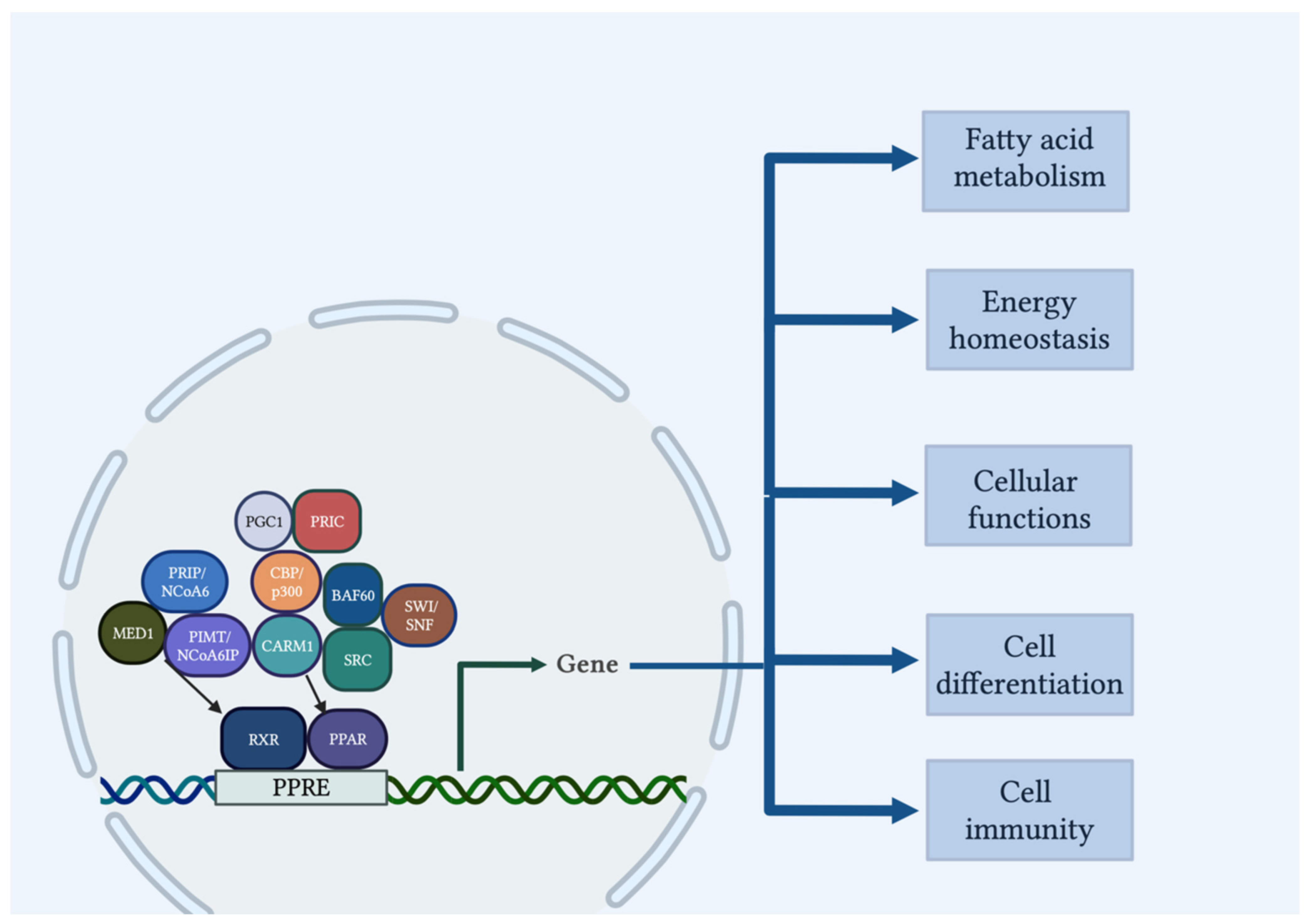 Cells 12 00647 g002