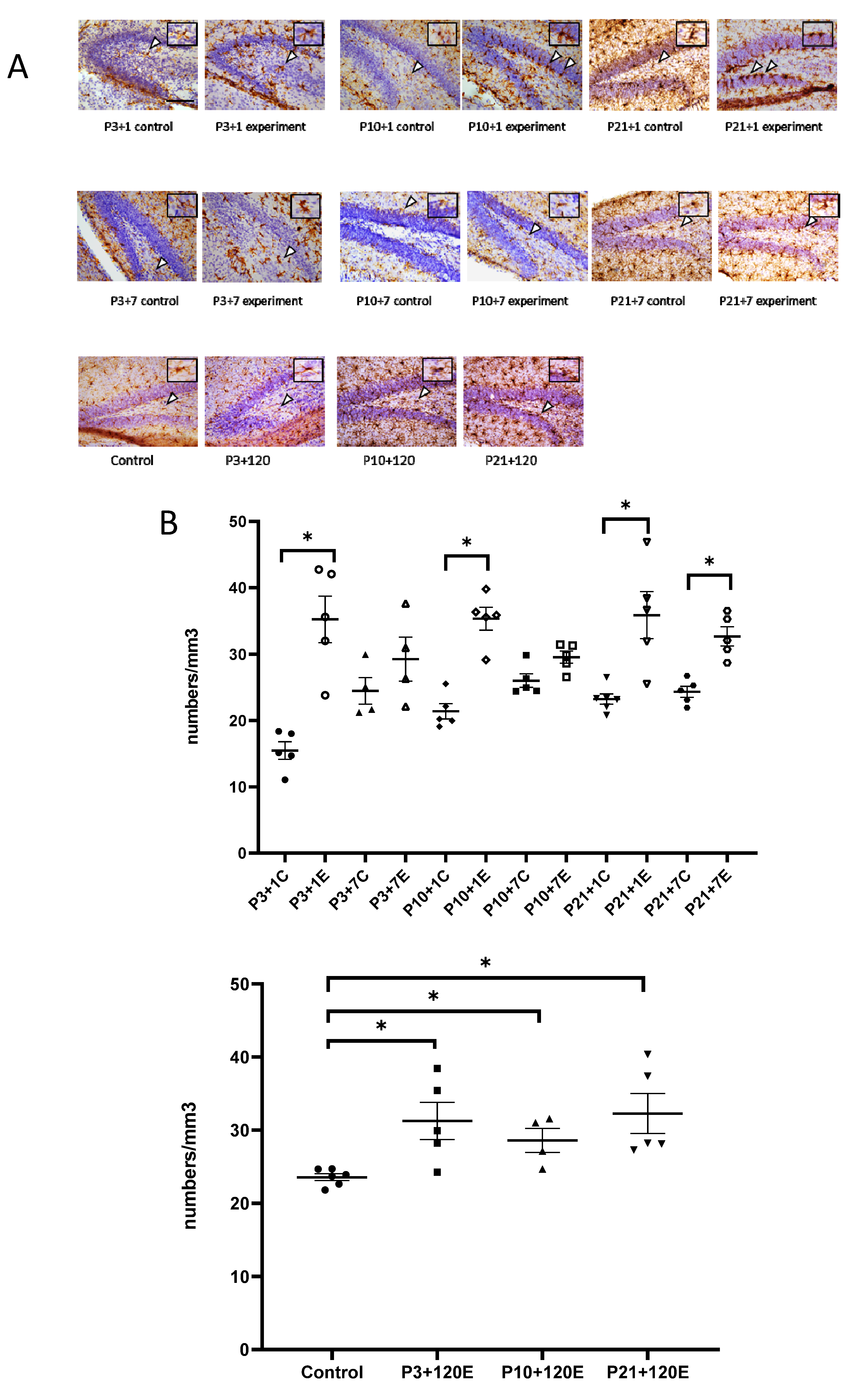 Cells 12 00649 g001a Cells 12 00649 g001a