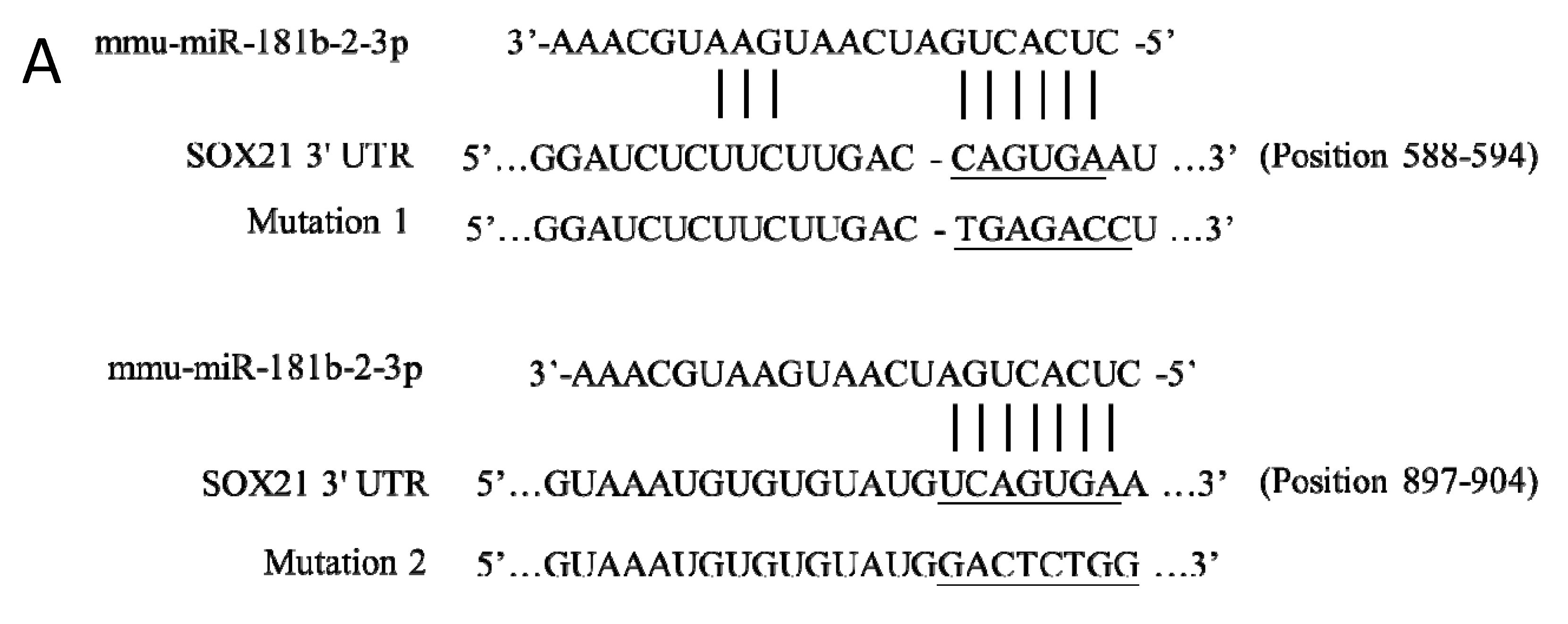 Cells 12 00649 g002a Cells 12 00649 g002a
