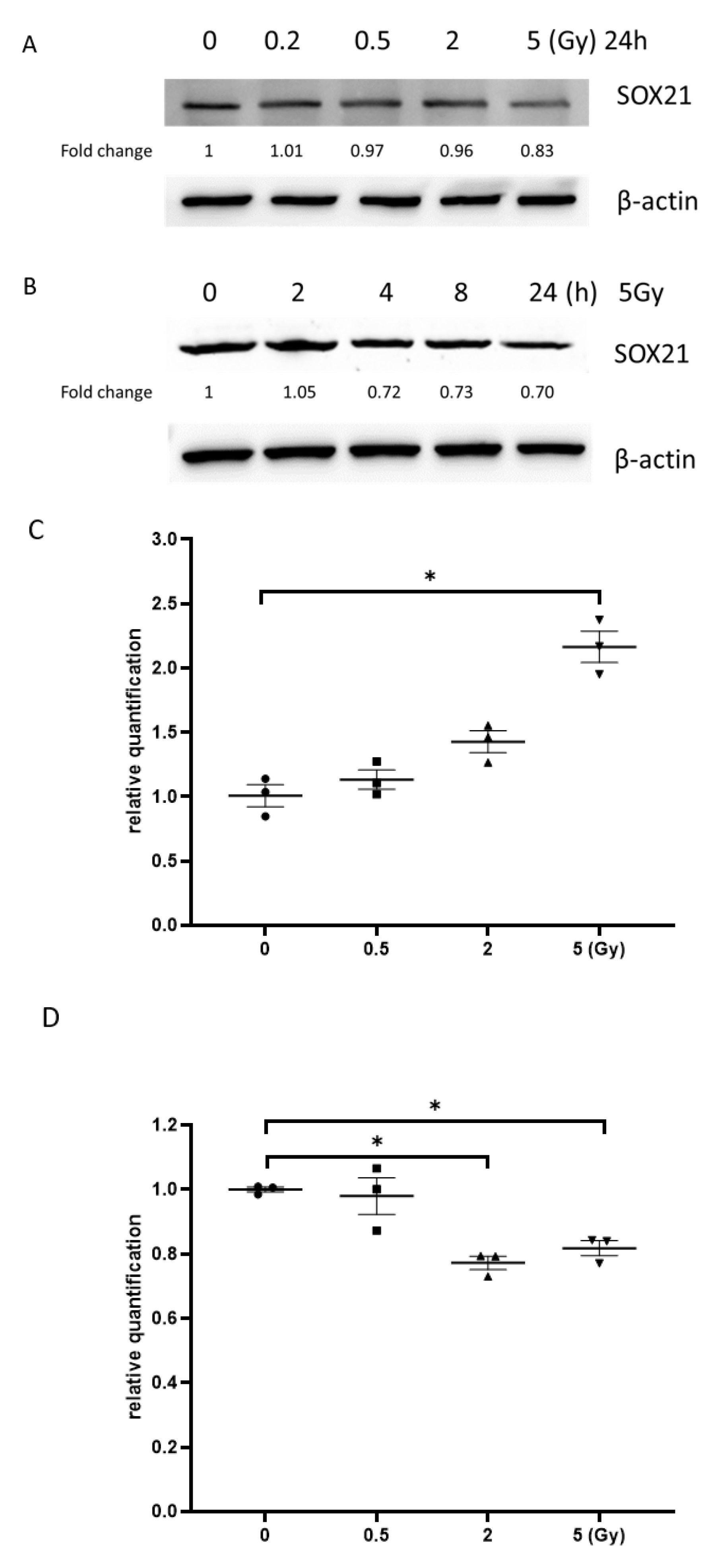 Cells 12 00649 g006a Cells 12 00649 g006a