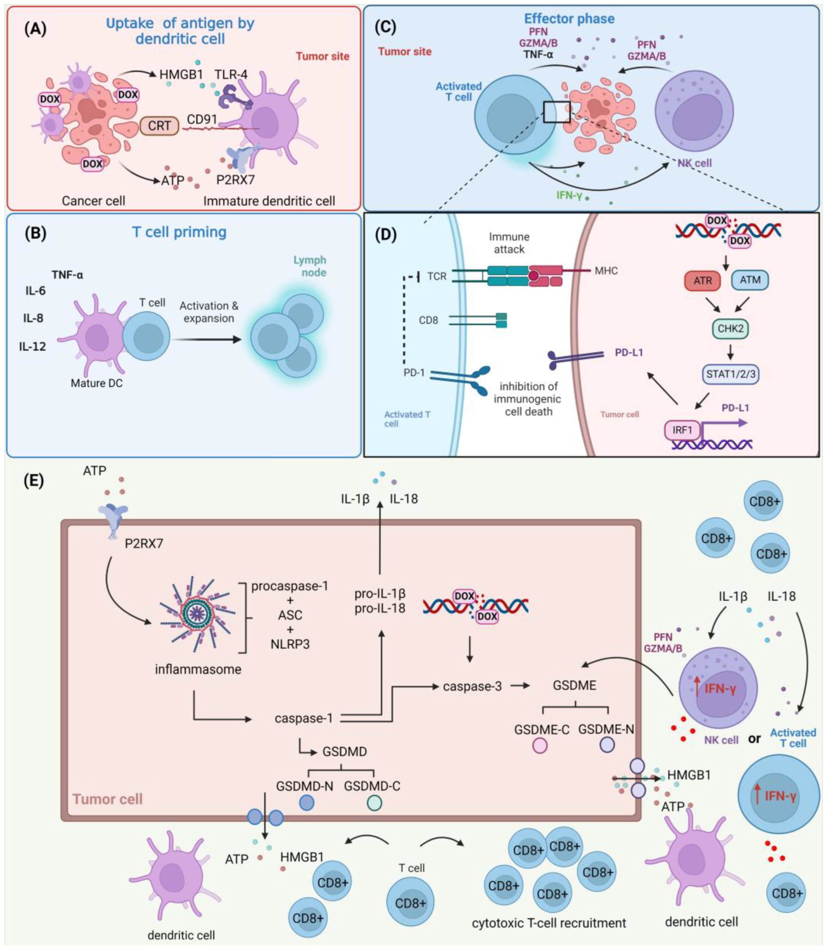 Cells 12 00659 g003 Cells 12 00659 g003