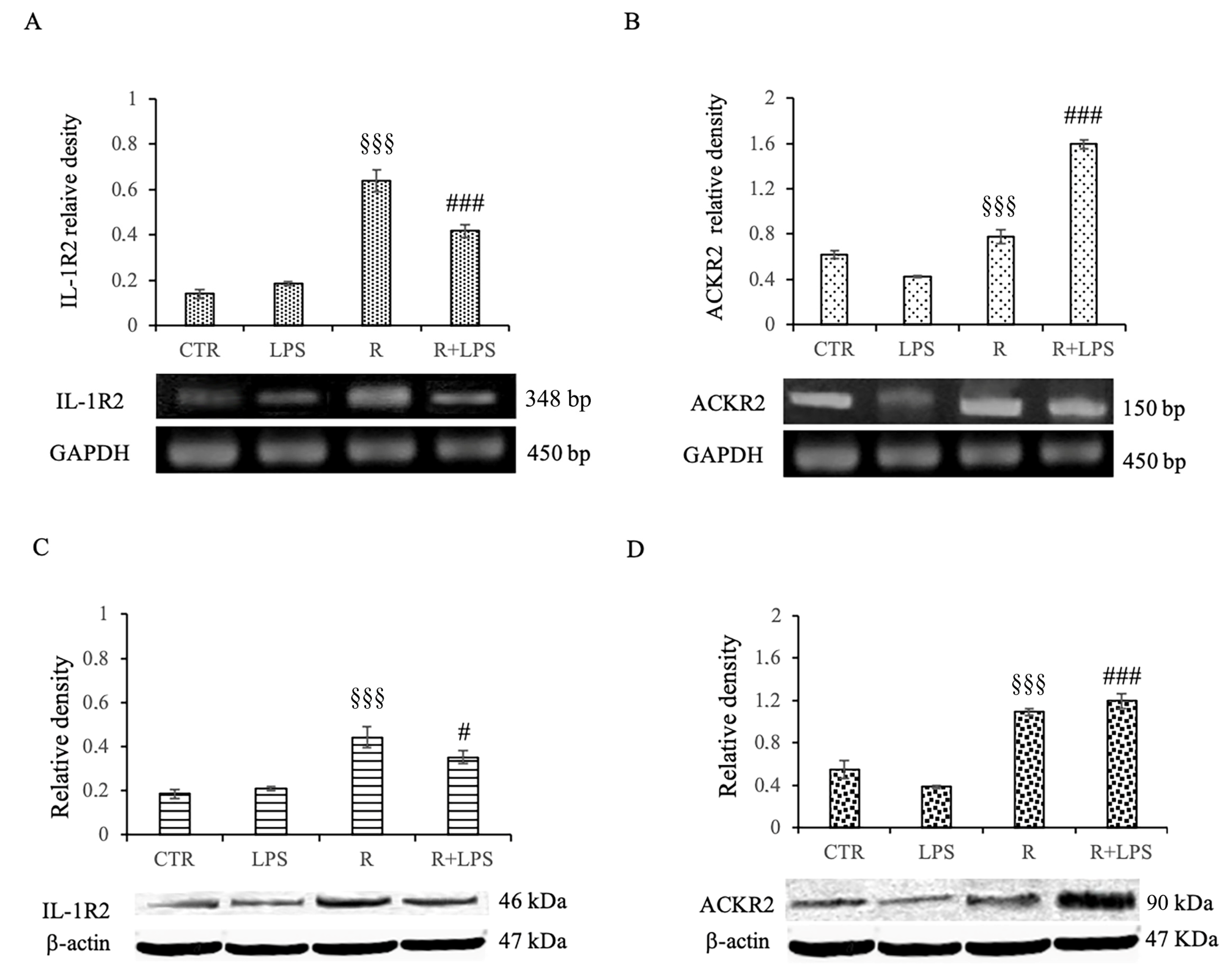 Cells 12 00681 g007 Cells 12 00681 g007