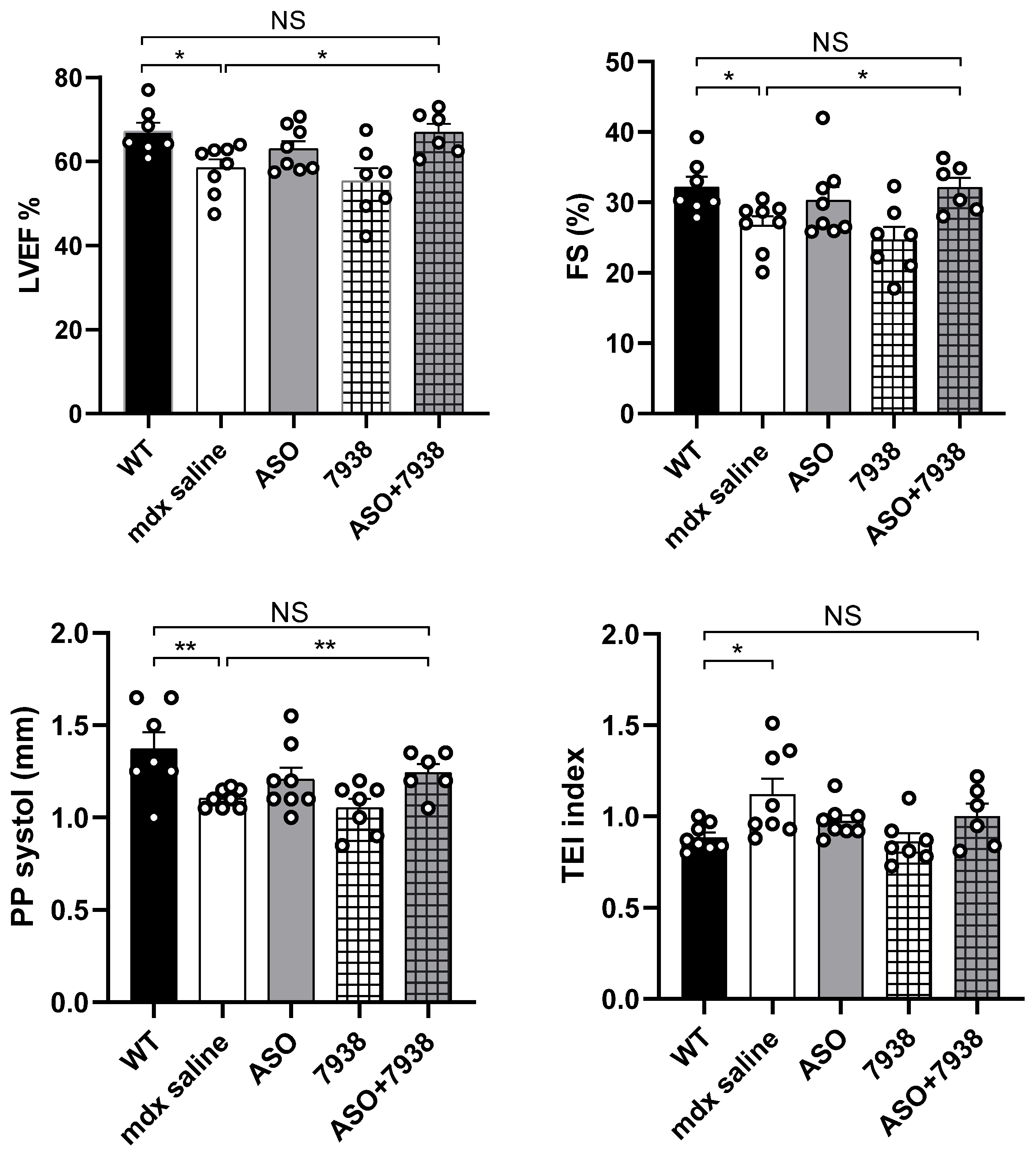 Cells 12 00702 g004 Cells 12 00702 g004