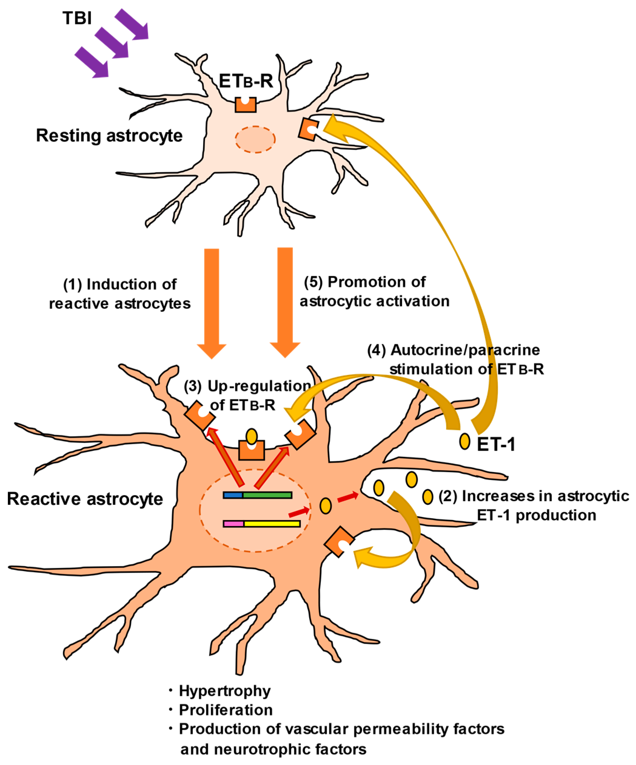 Cells 12 00719 g003 Cells 12 00719 g003