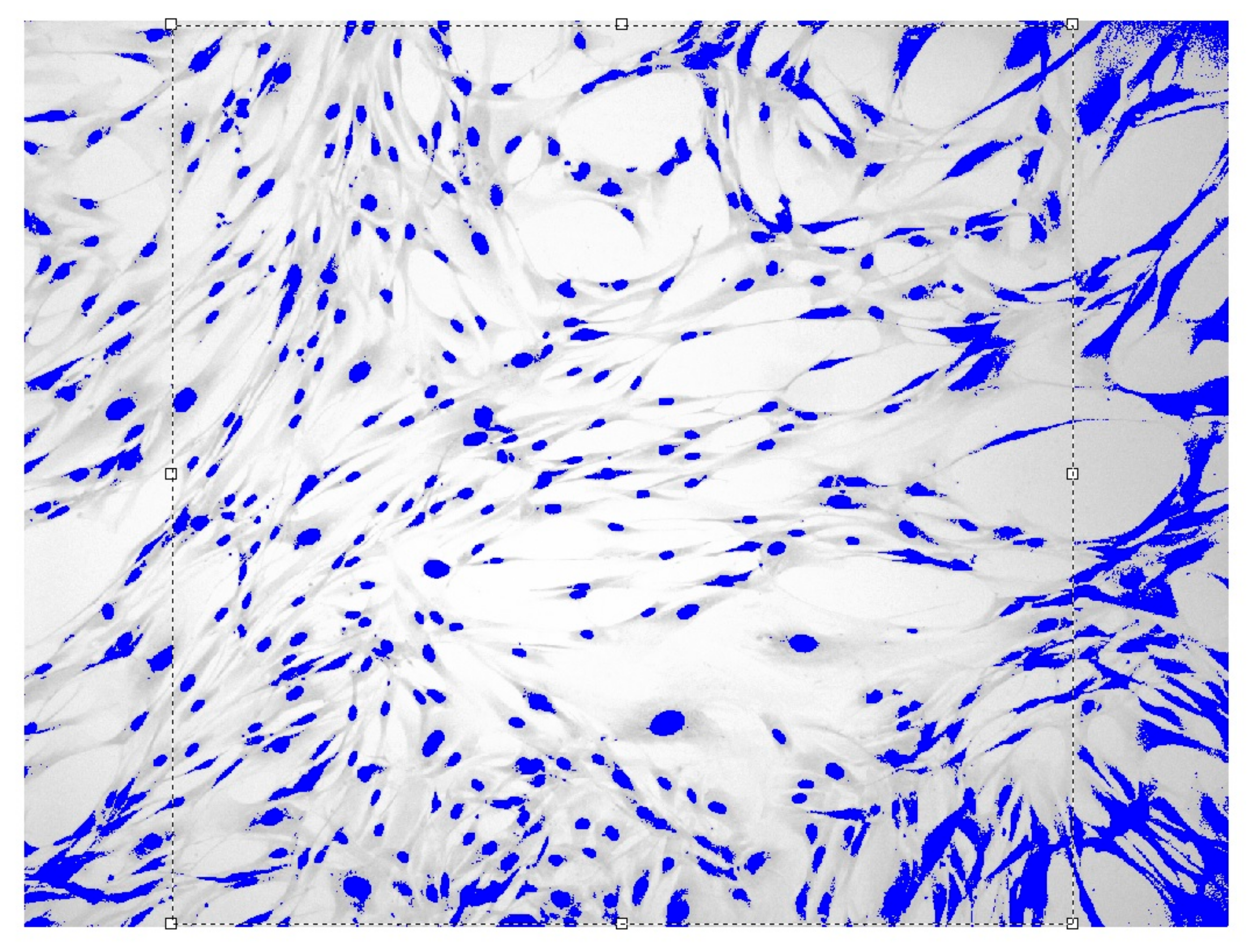 Cells 12 00731 g002 Cells 12 00731 g002