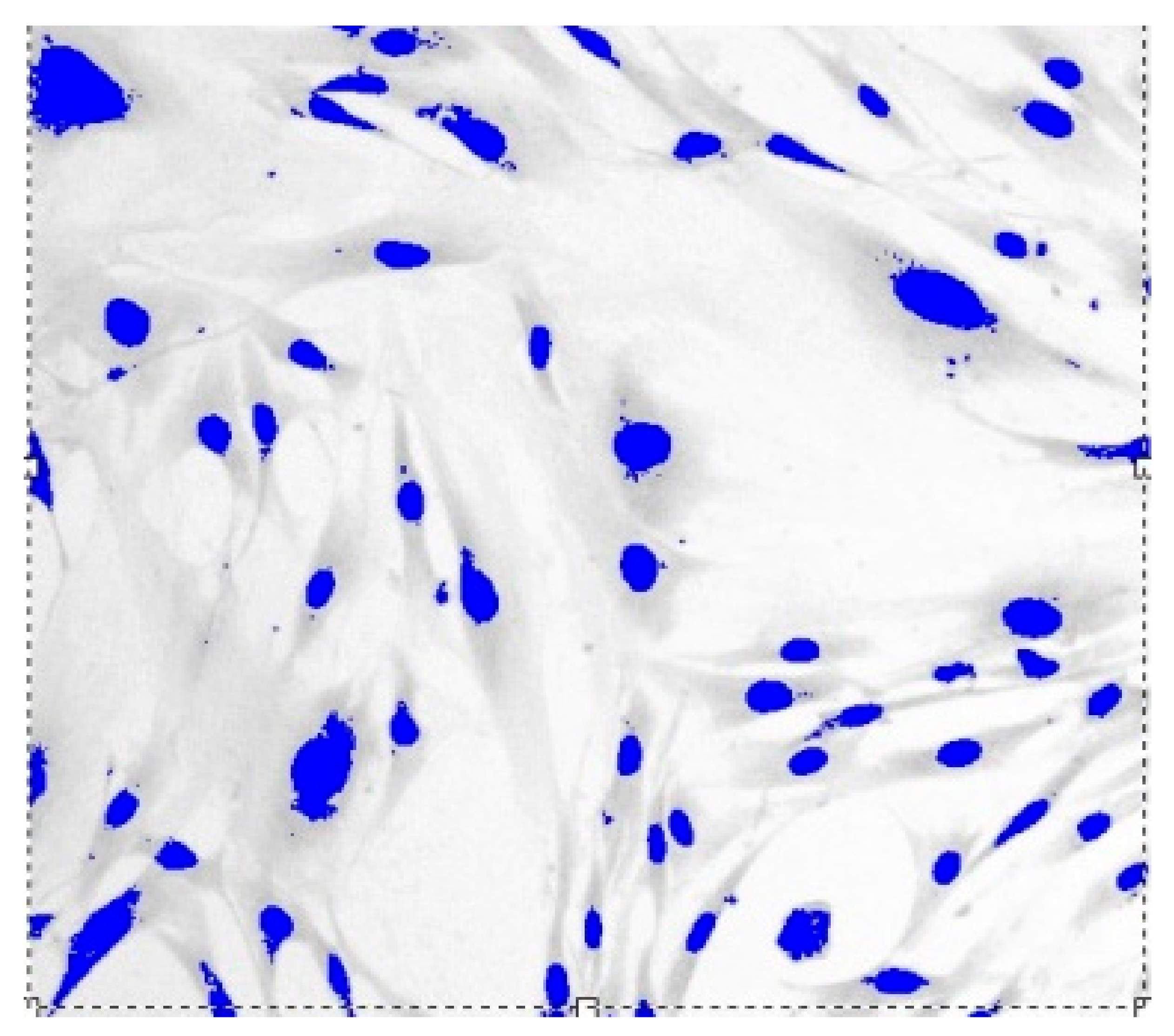 Cells 12 00731 g003 Cells 12 00731 g003