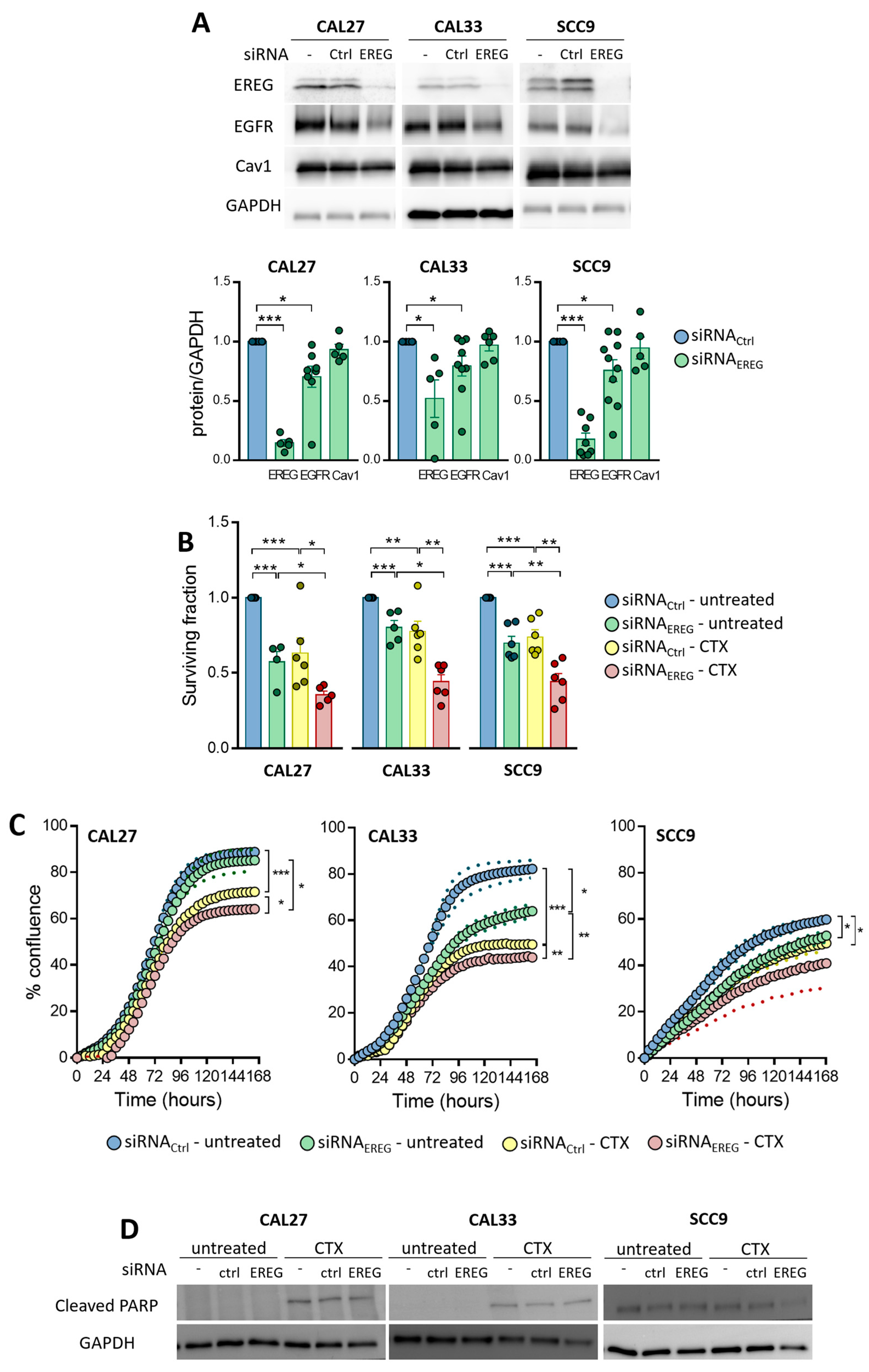 Cells 12 00733 g001 Cells 12 00733 g001