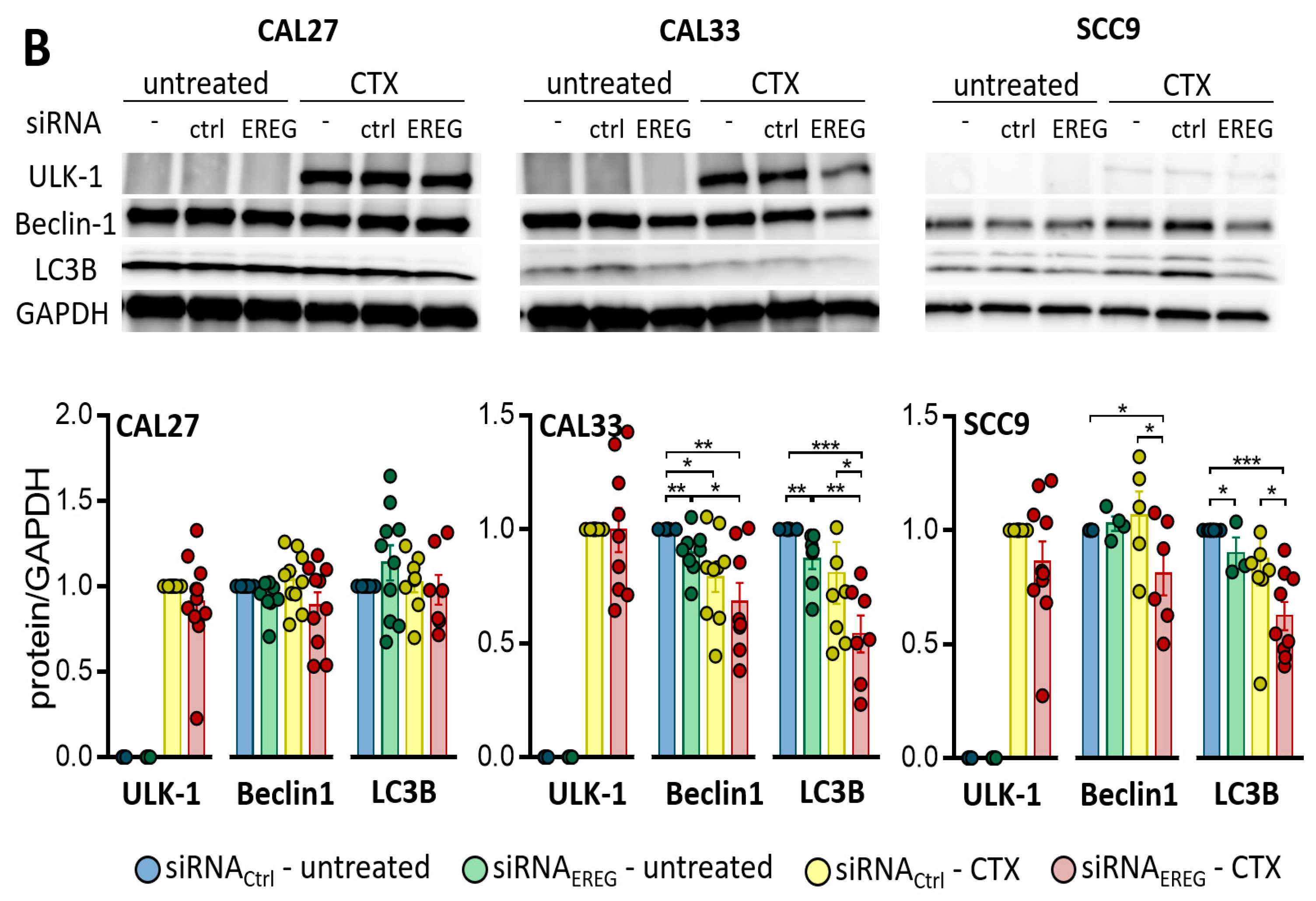 Cells 12 00733 g002b Cells 12 00733 g002b
