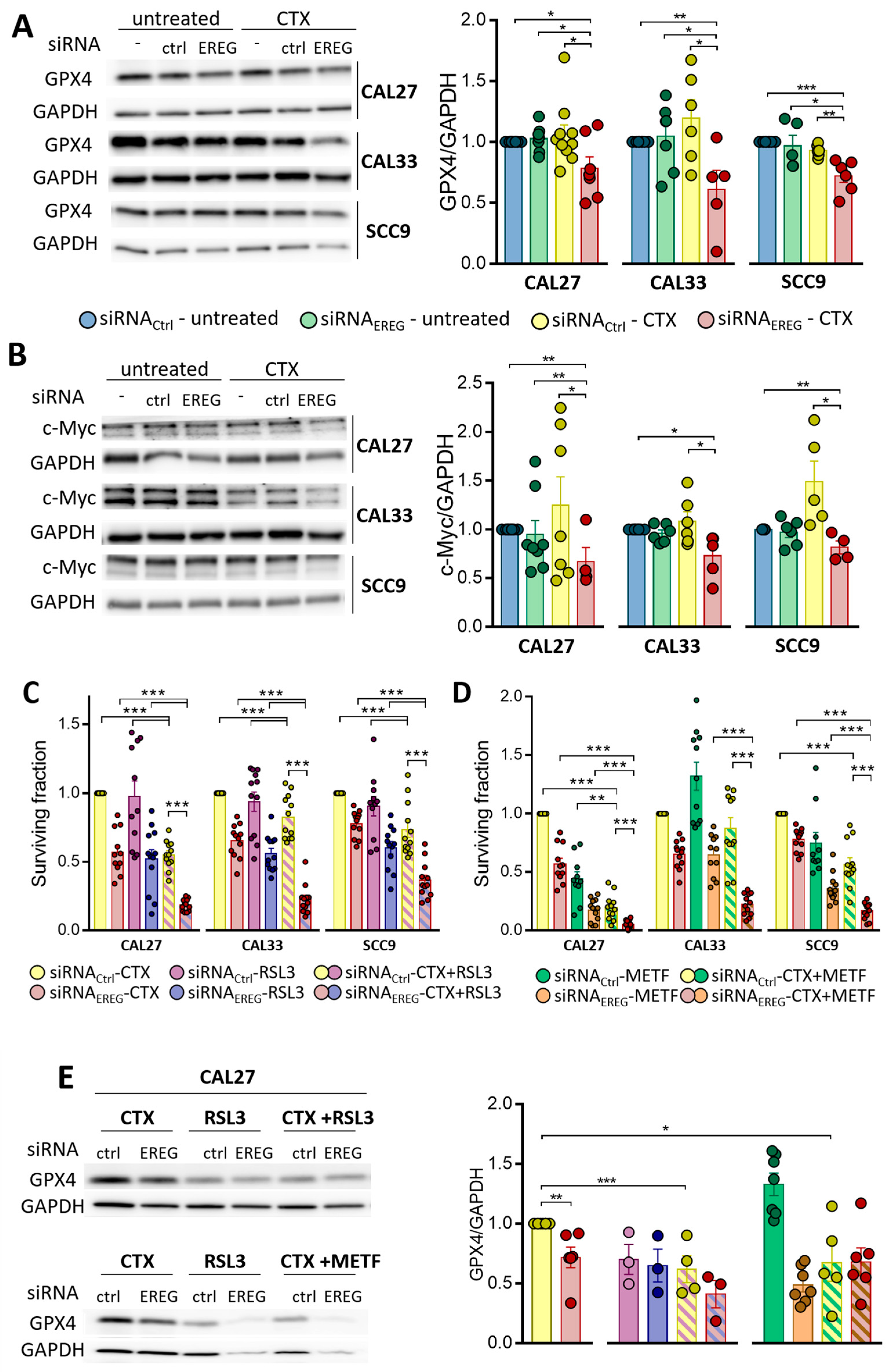 Cells 12 00733 g004 Cells 12 00733 g004