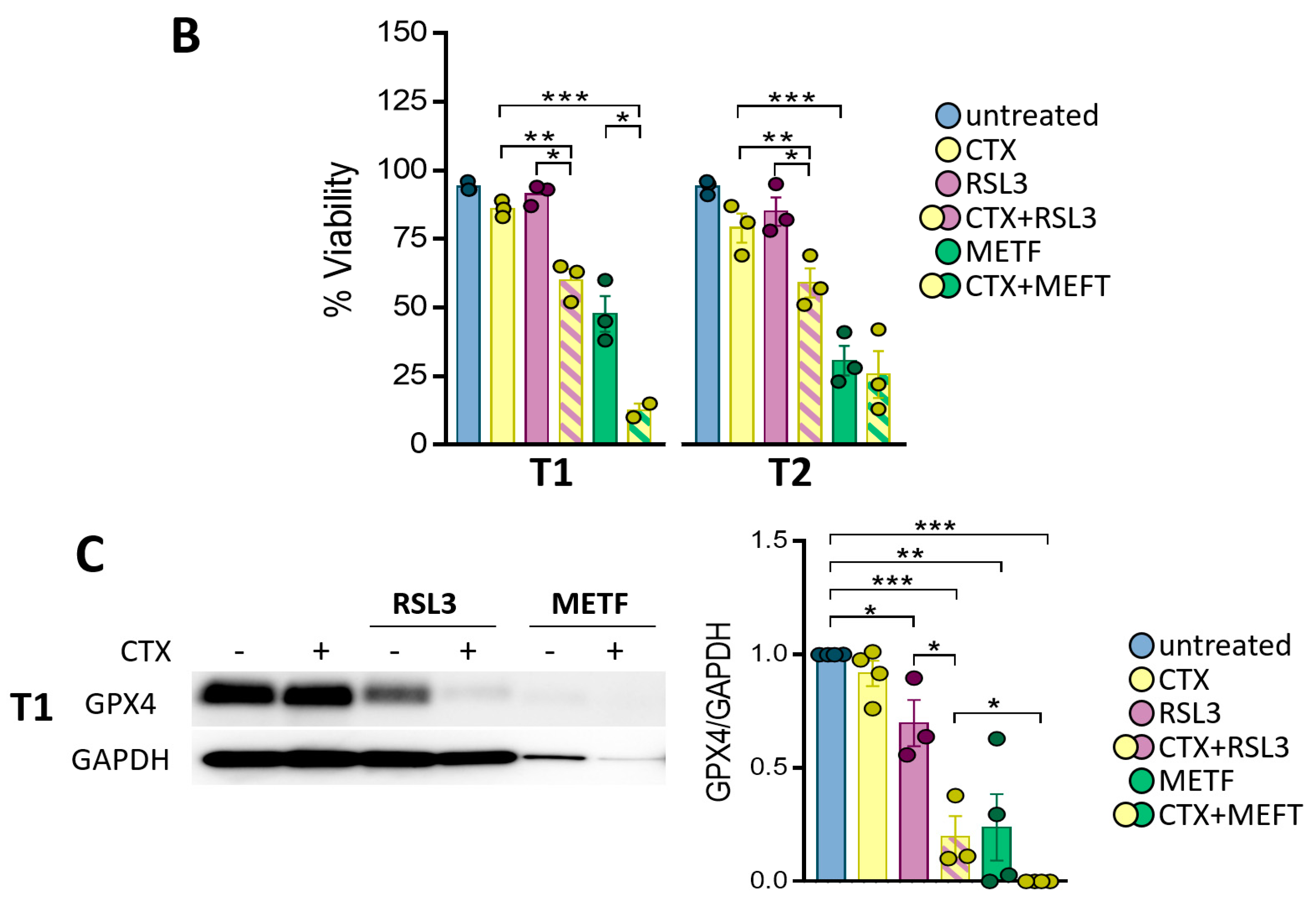 Cells 12 00733 g005b Cells 12 00733 g005b