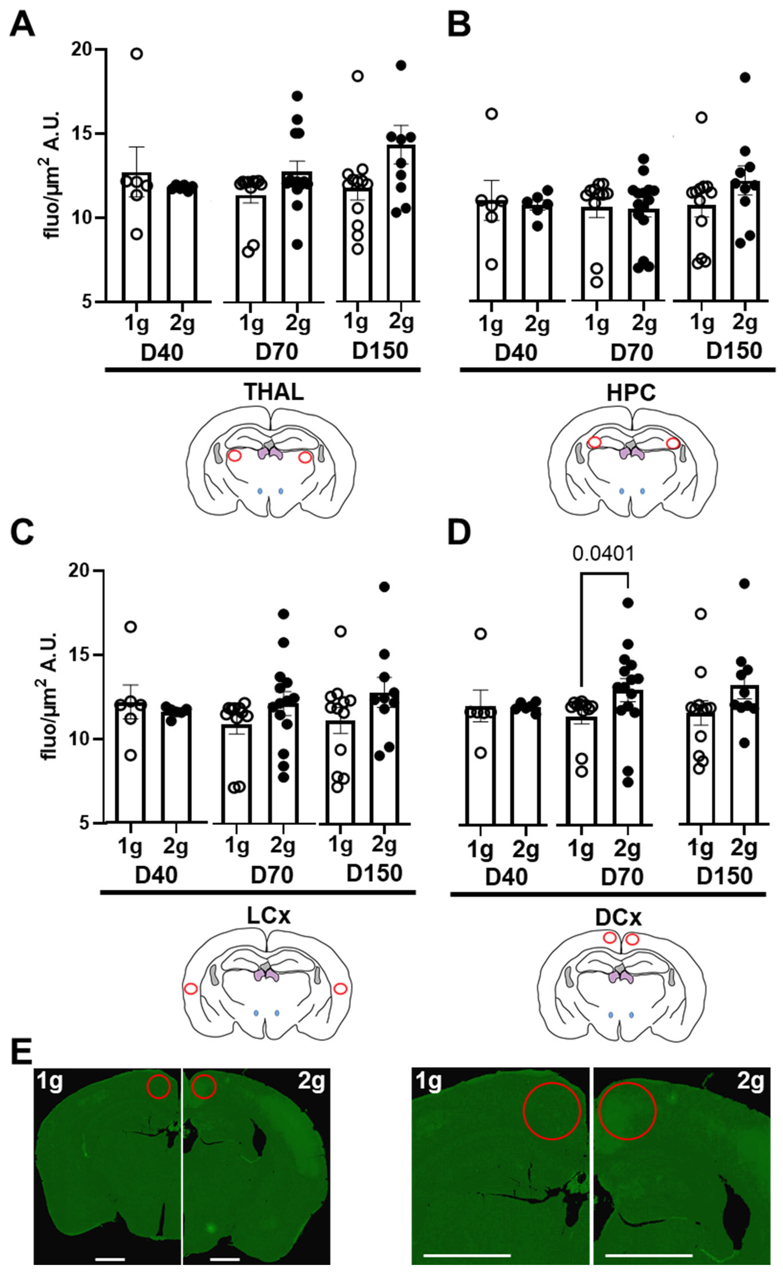 Cells 12 00734 g003 Cells 12 00734 g003