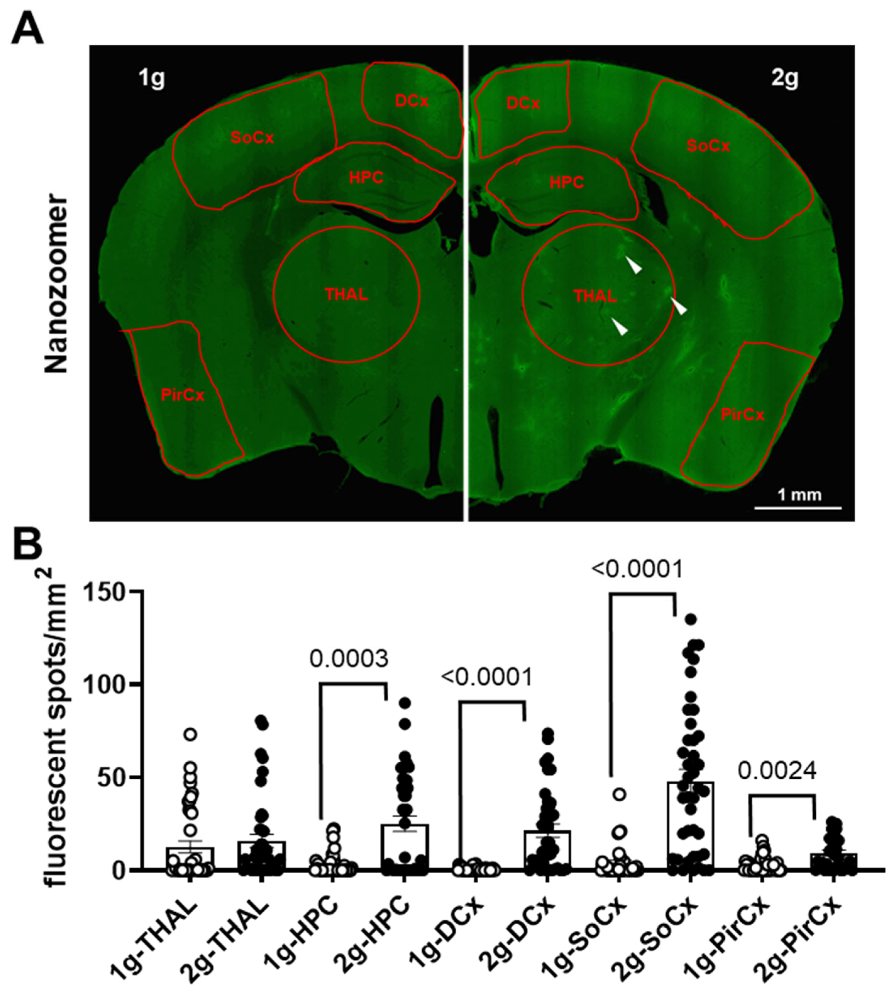Cells 12 00734 g006 Cells 12 00734 g006