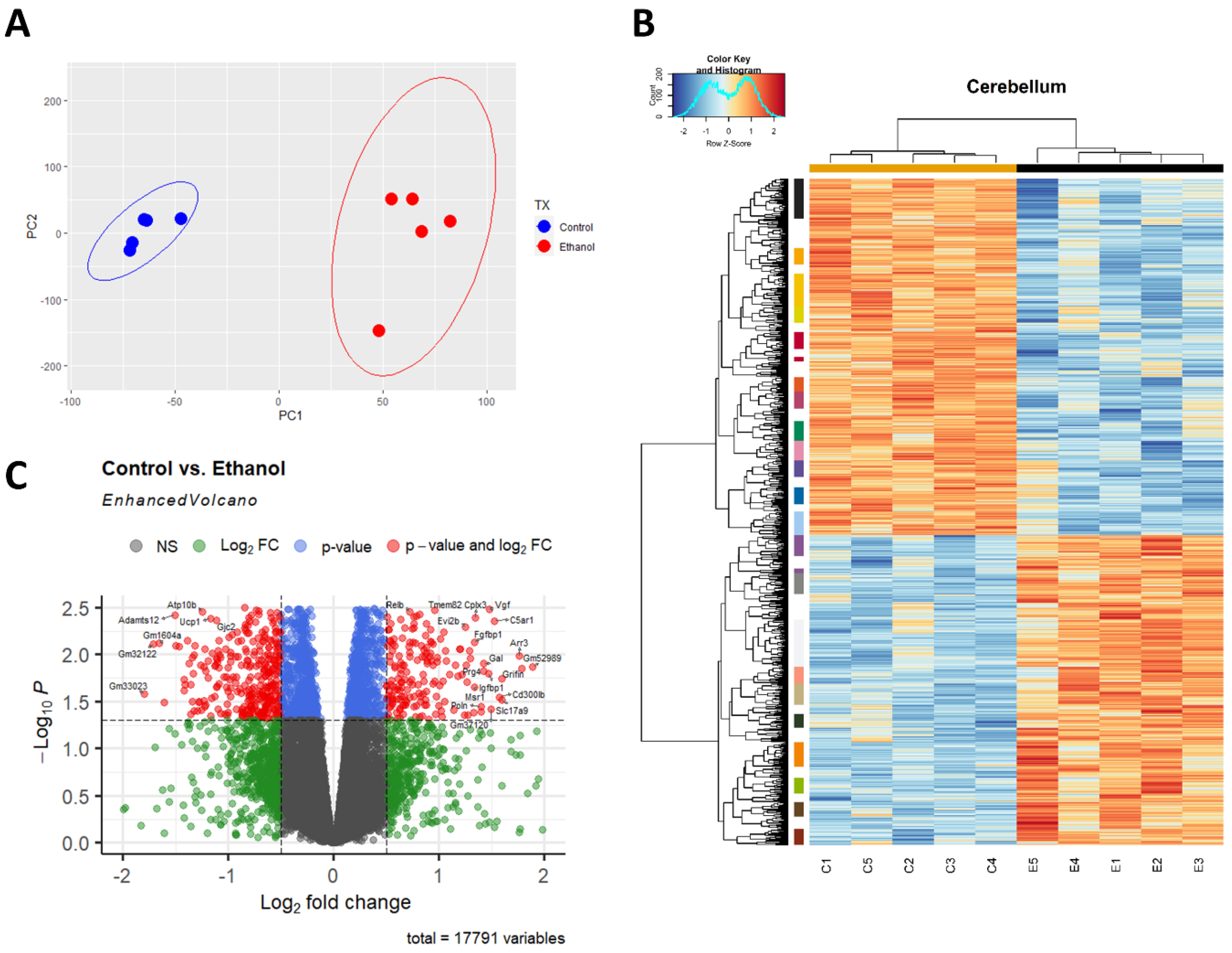 Cells 12 00745 g001 Cells 12 00745 g001