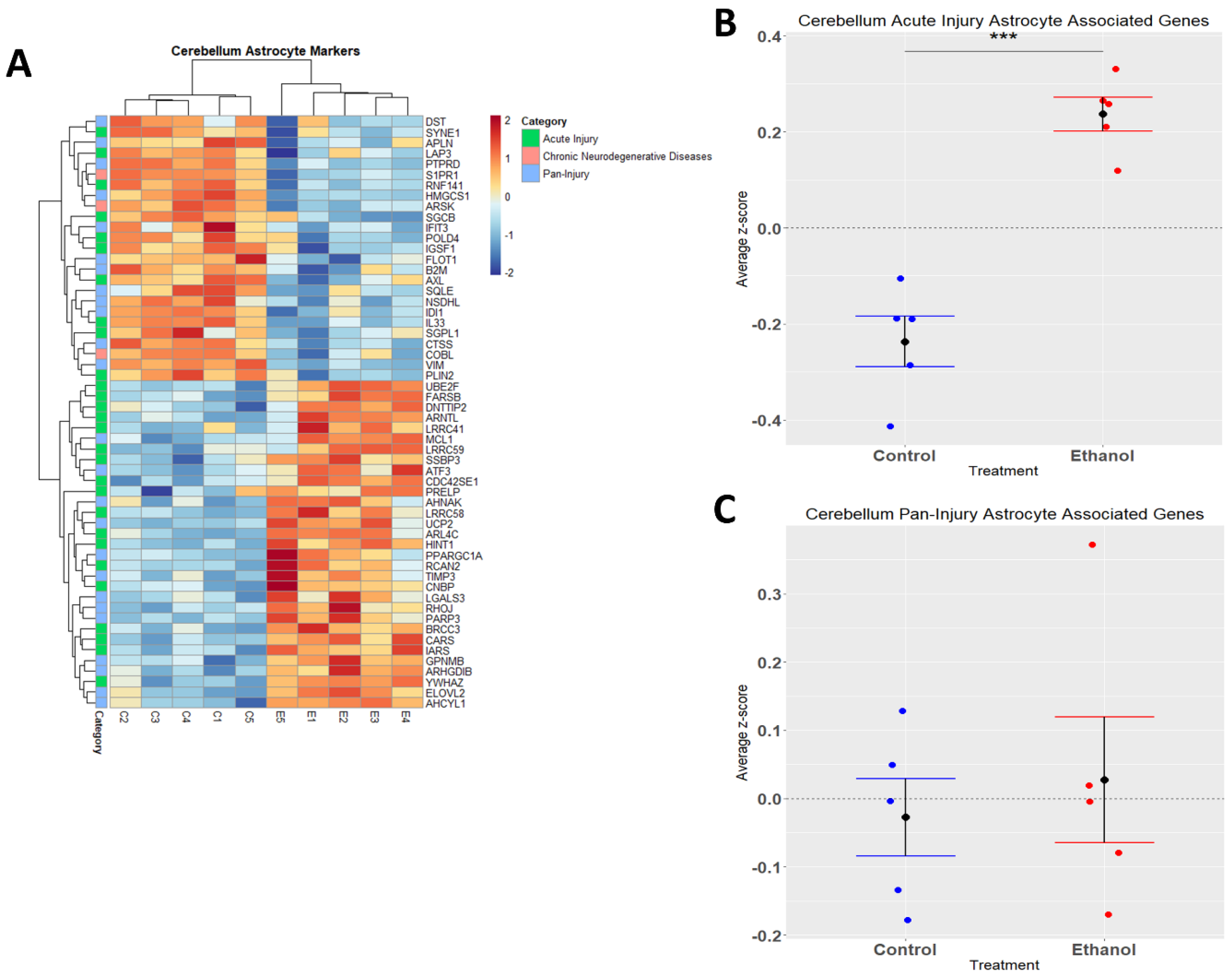 Cells 12 00745 g004 Cells 12 00745 g004