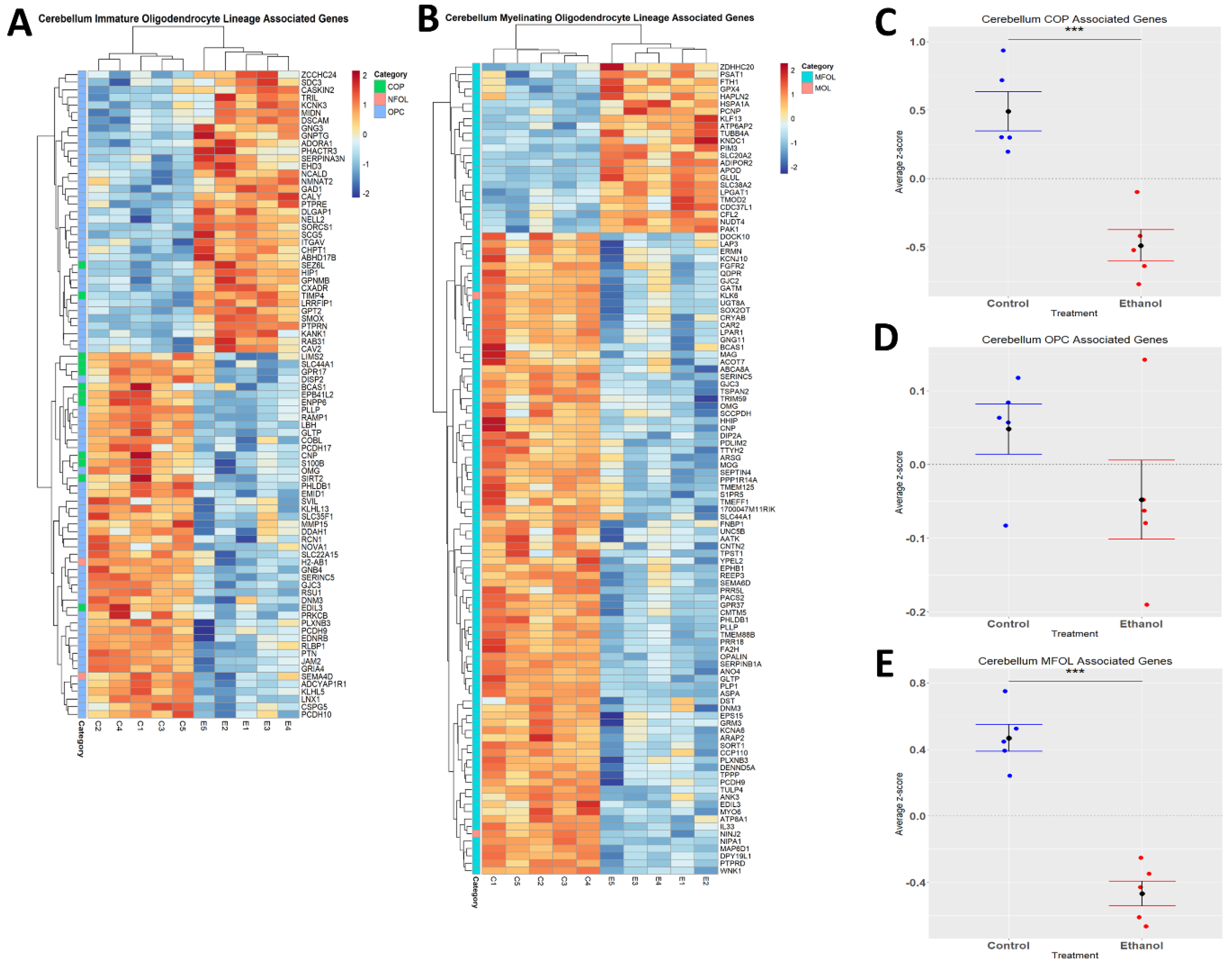 Cells 12 00745 g005 Cells 12 00745 g005