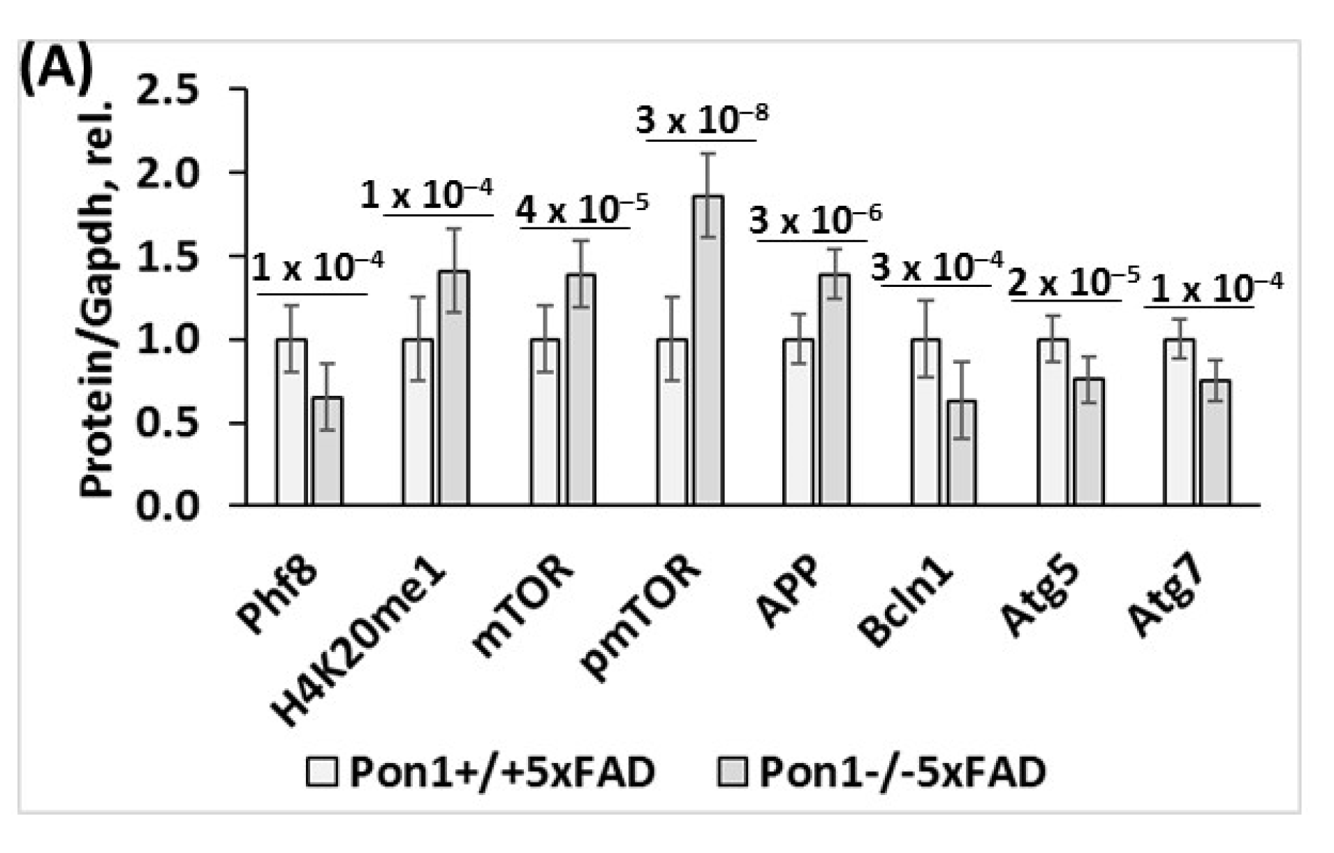 Cells 12 00746 g002a
