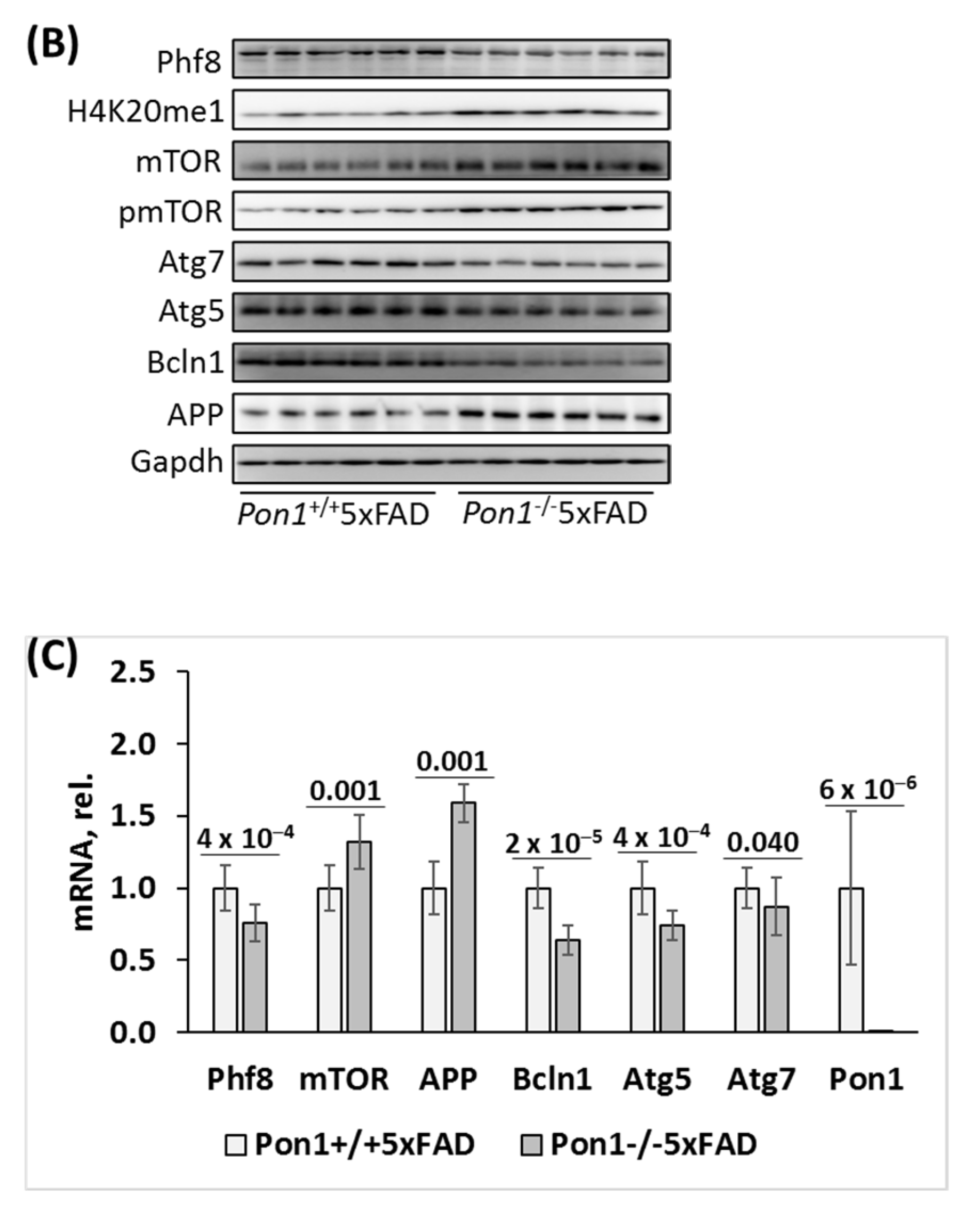 Cells 12 00746 g002b