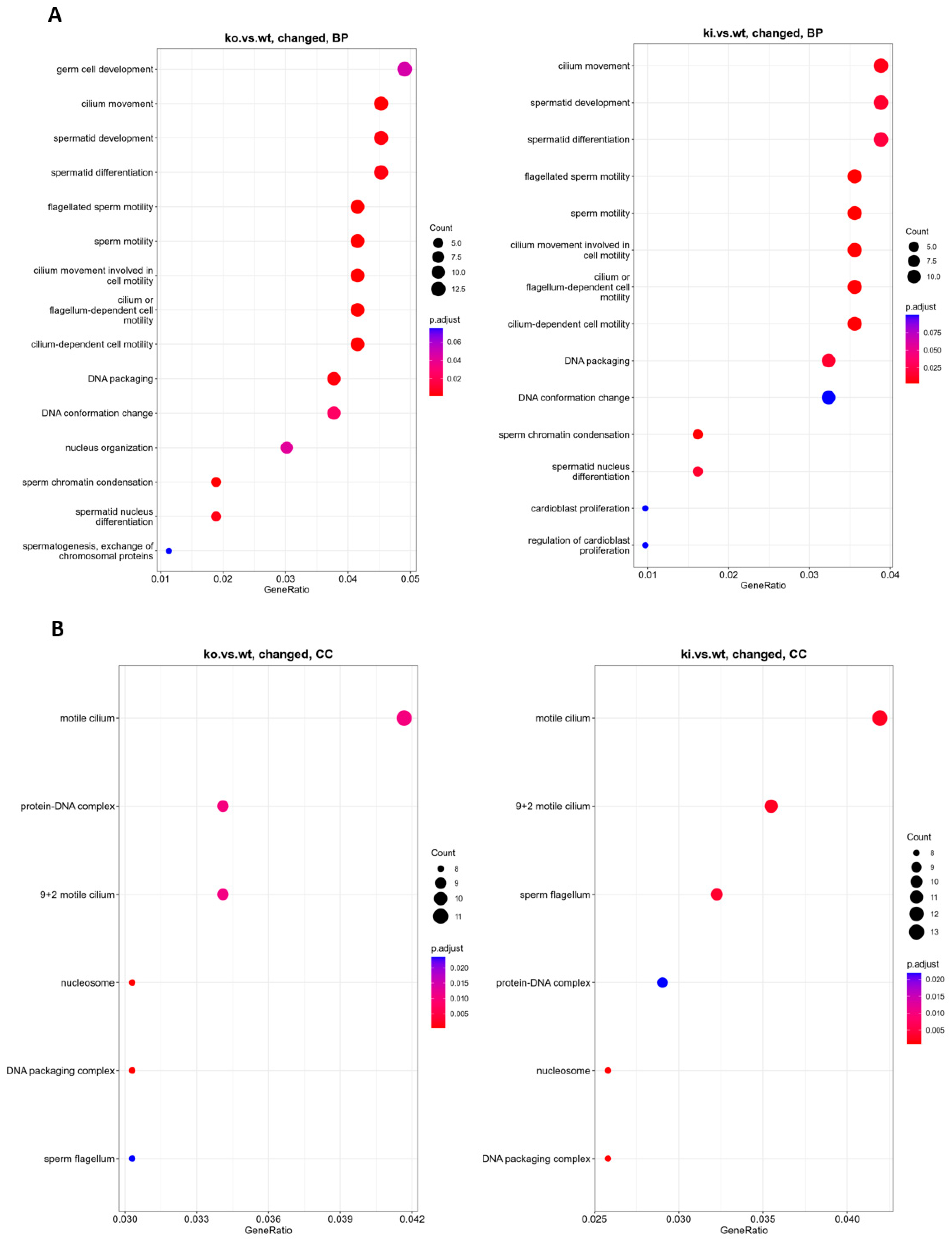 Cells 12 00756 g002 Cells 12 00756 g002