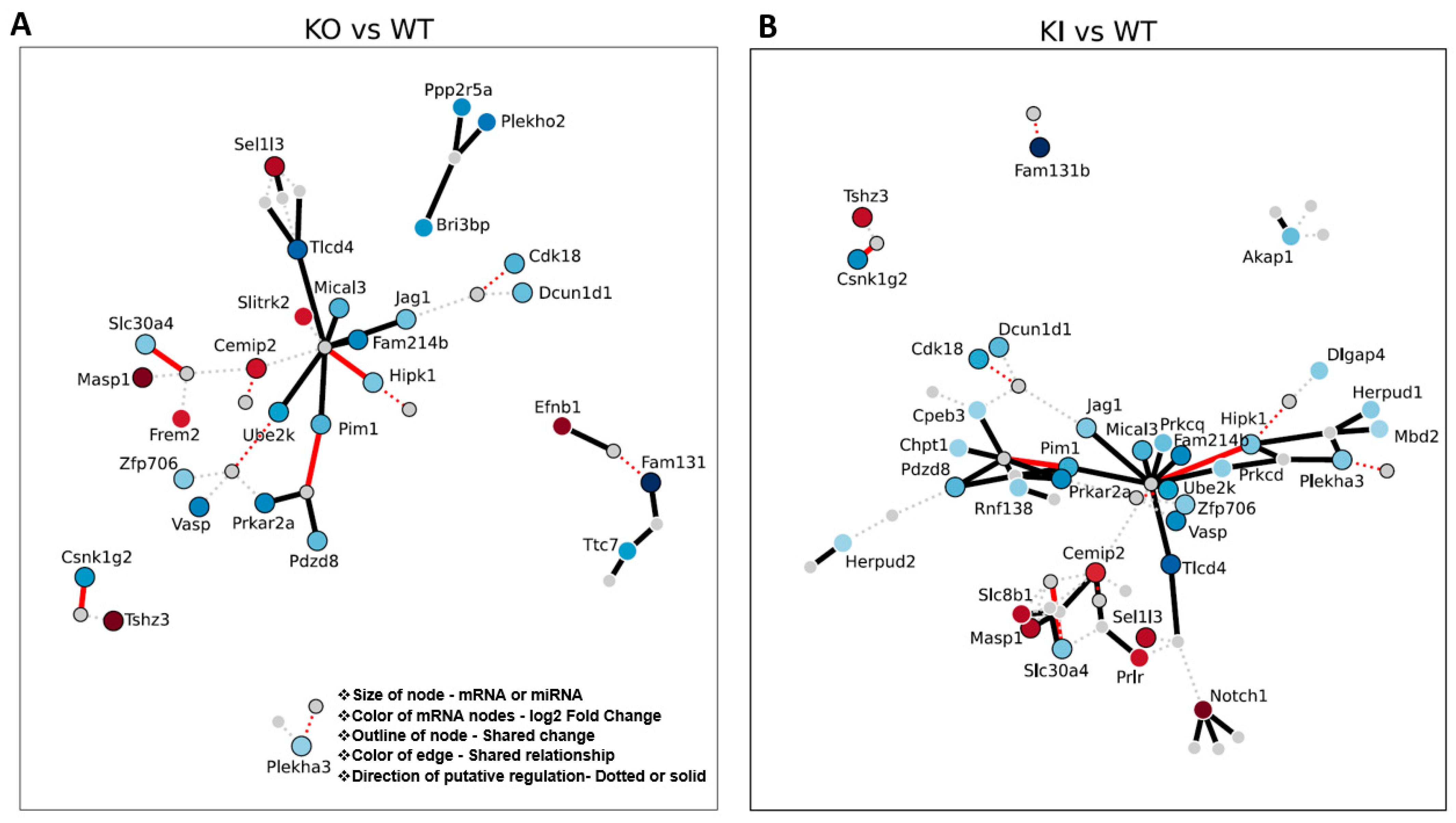 Cells 12 00756 g007 Cells 12 00756 g007