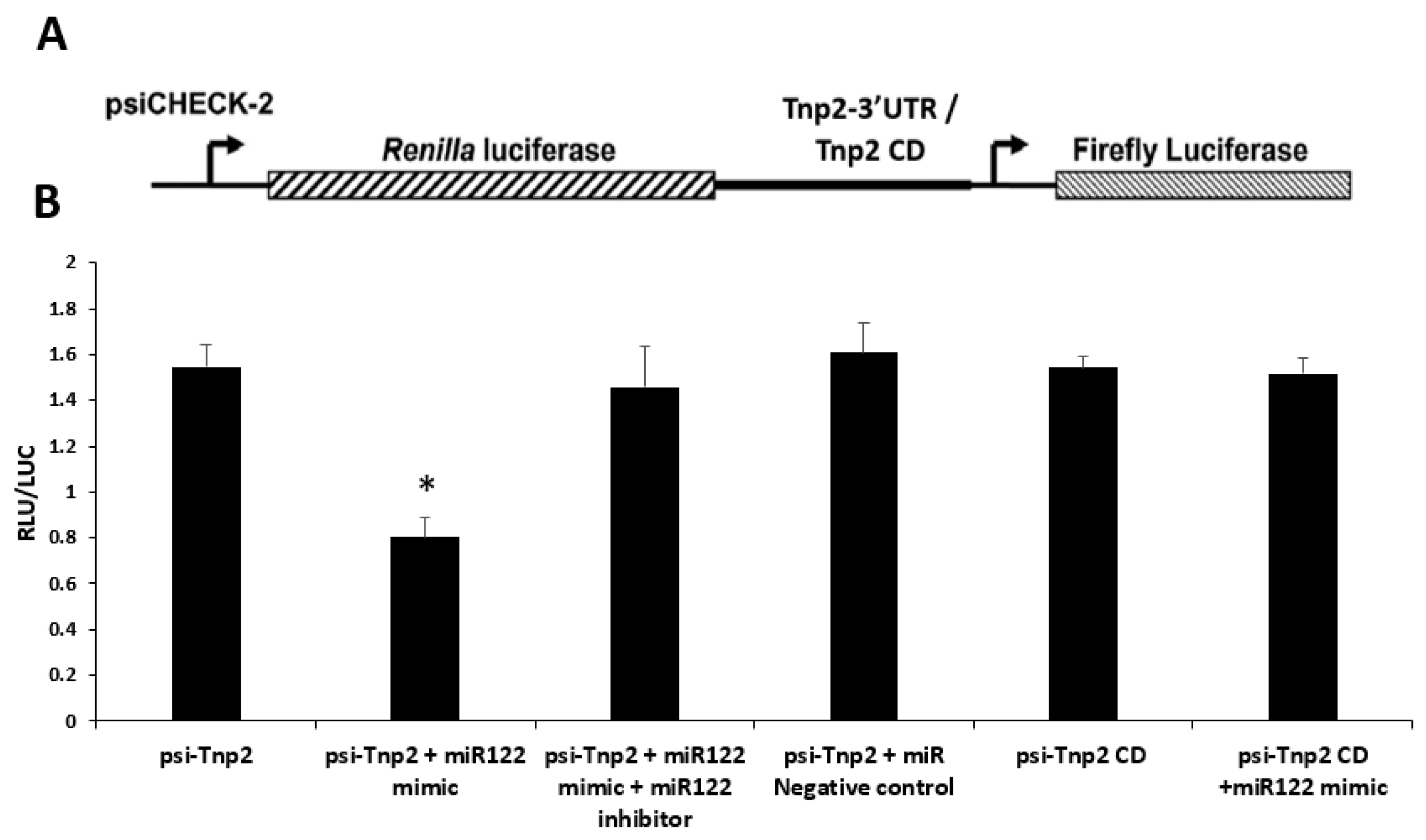 Cells 12 00756 g008 Cells 12 00756 g008