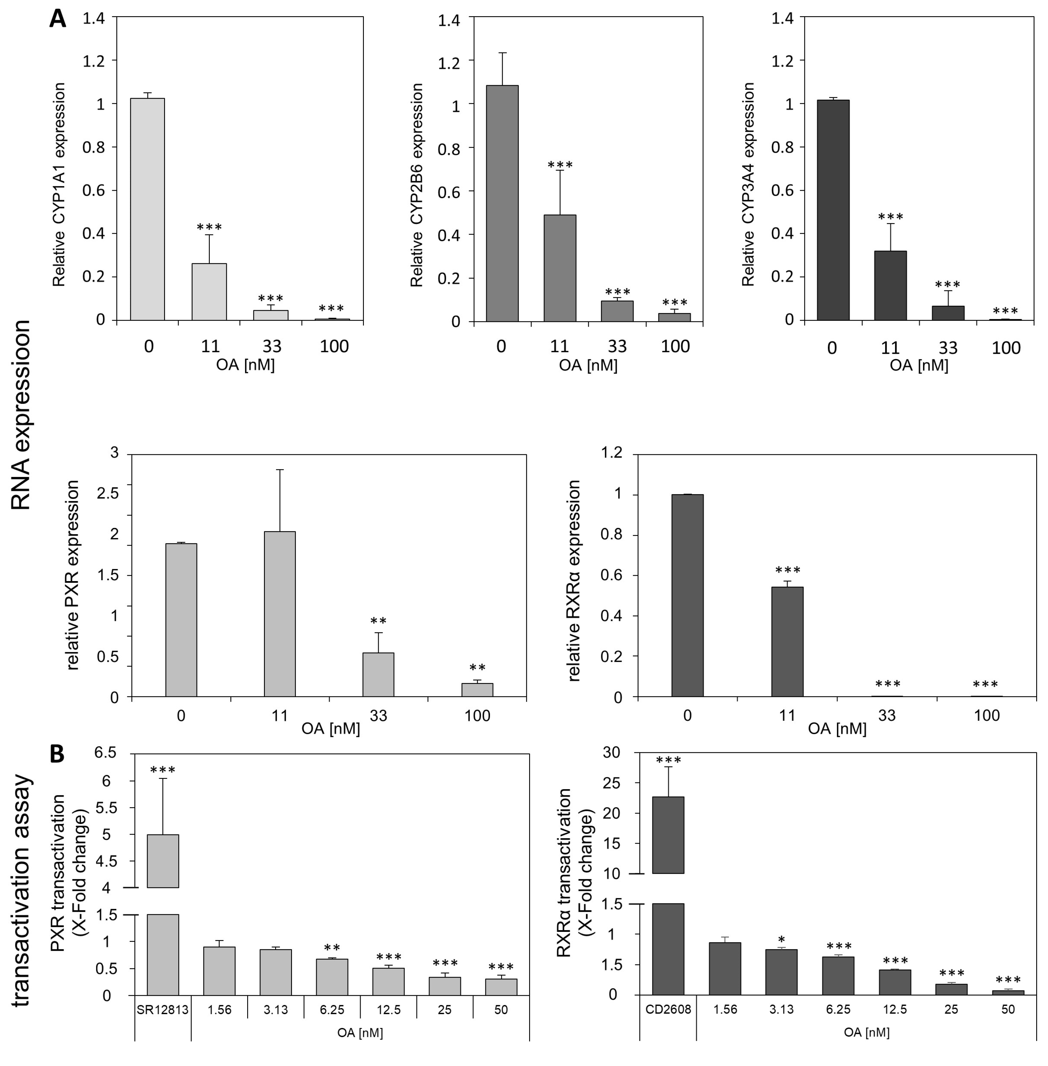Cells 12 00770 g002 Cells 12 00770 g002