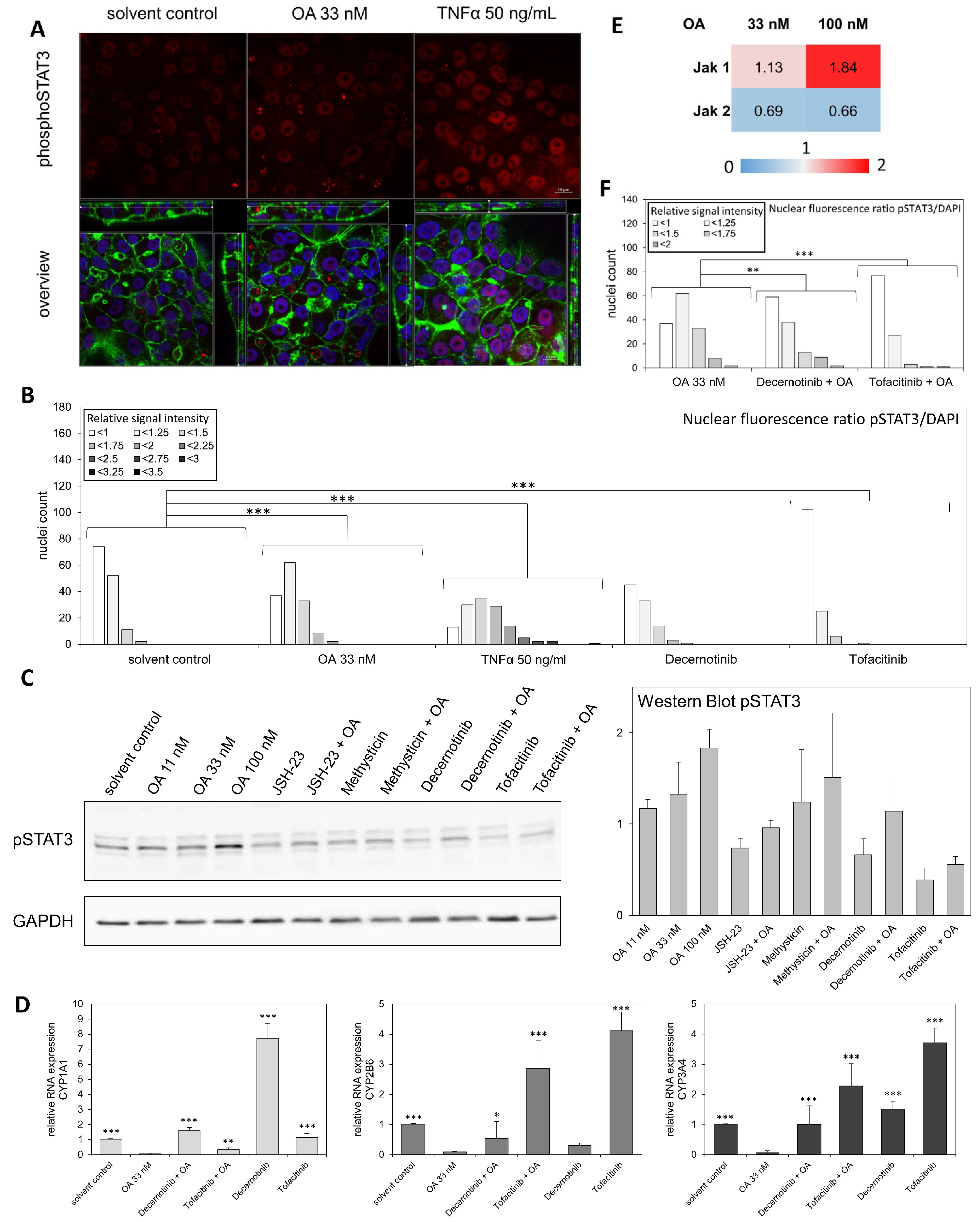 Cells 12 00770 g005 Cells 12 00770 g005