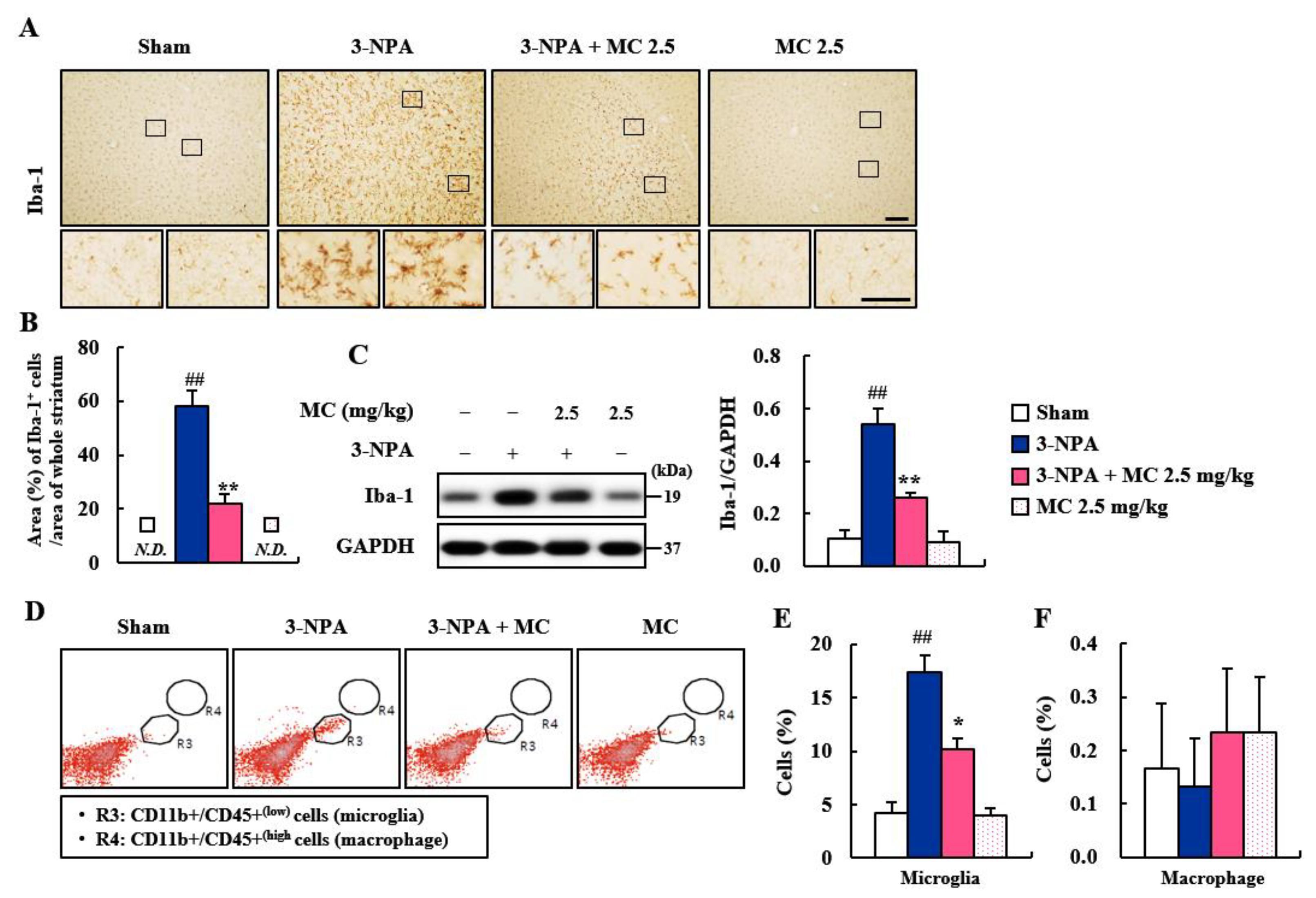 Cells 12 00786 g003 Cells 12 00786 g003