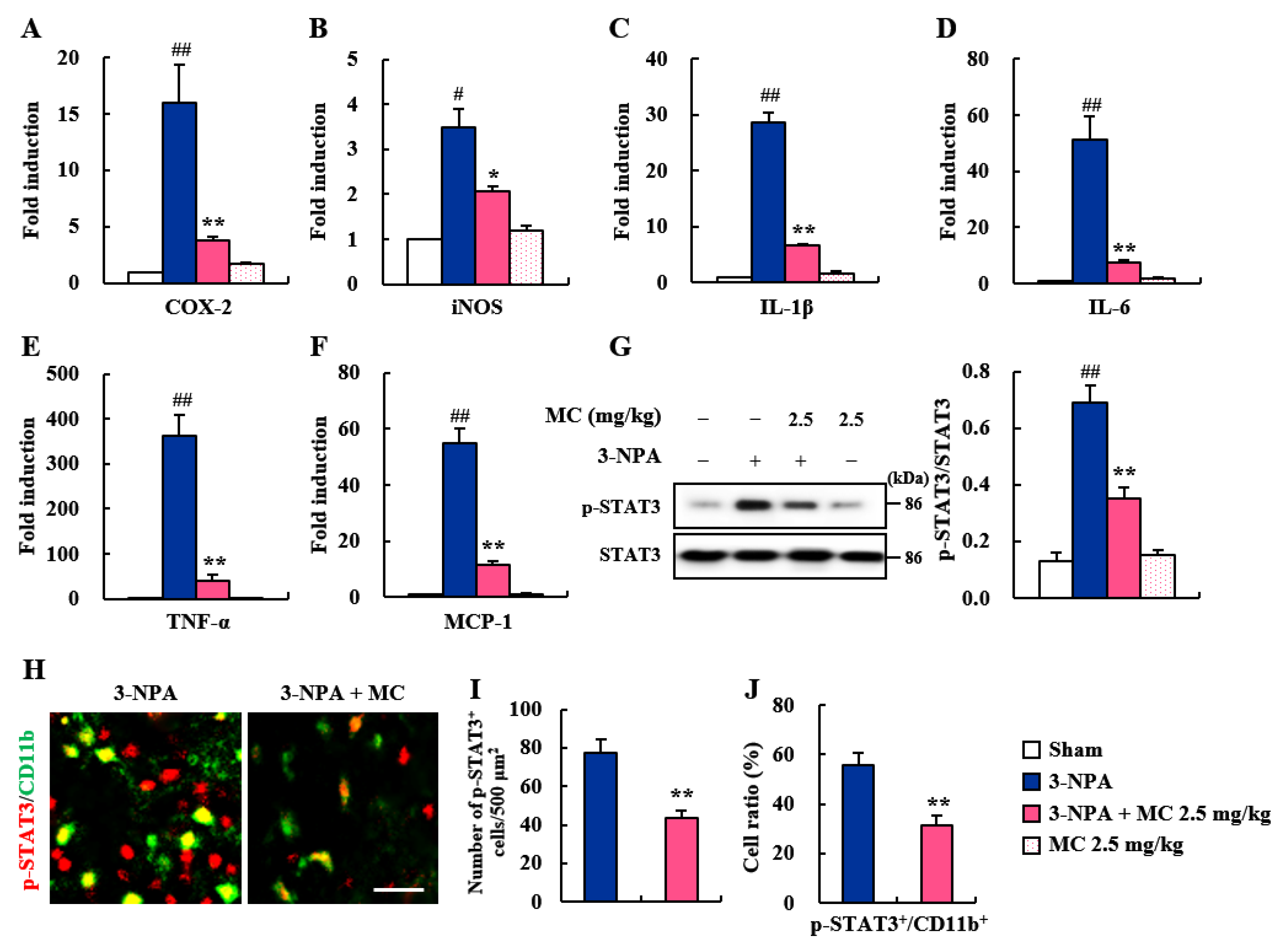 Cells 12 00786 g004 Cells 12 00786 g004