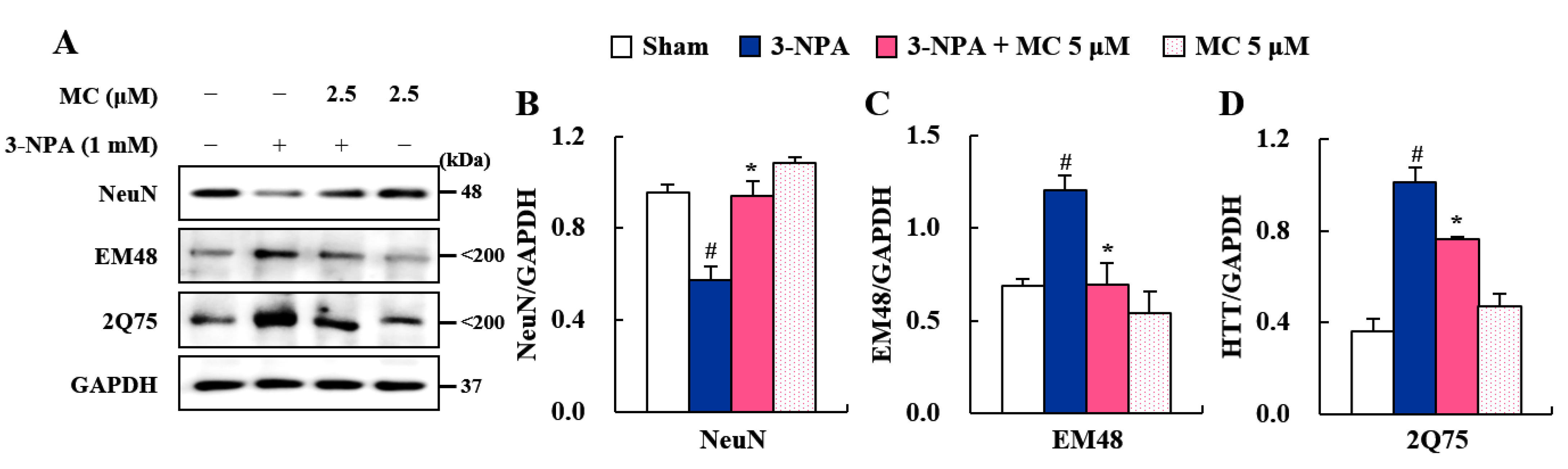 Cells 12 00786 g006 Cells 12 00786 g006