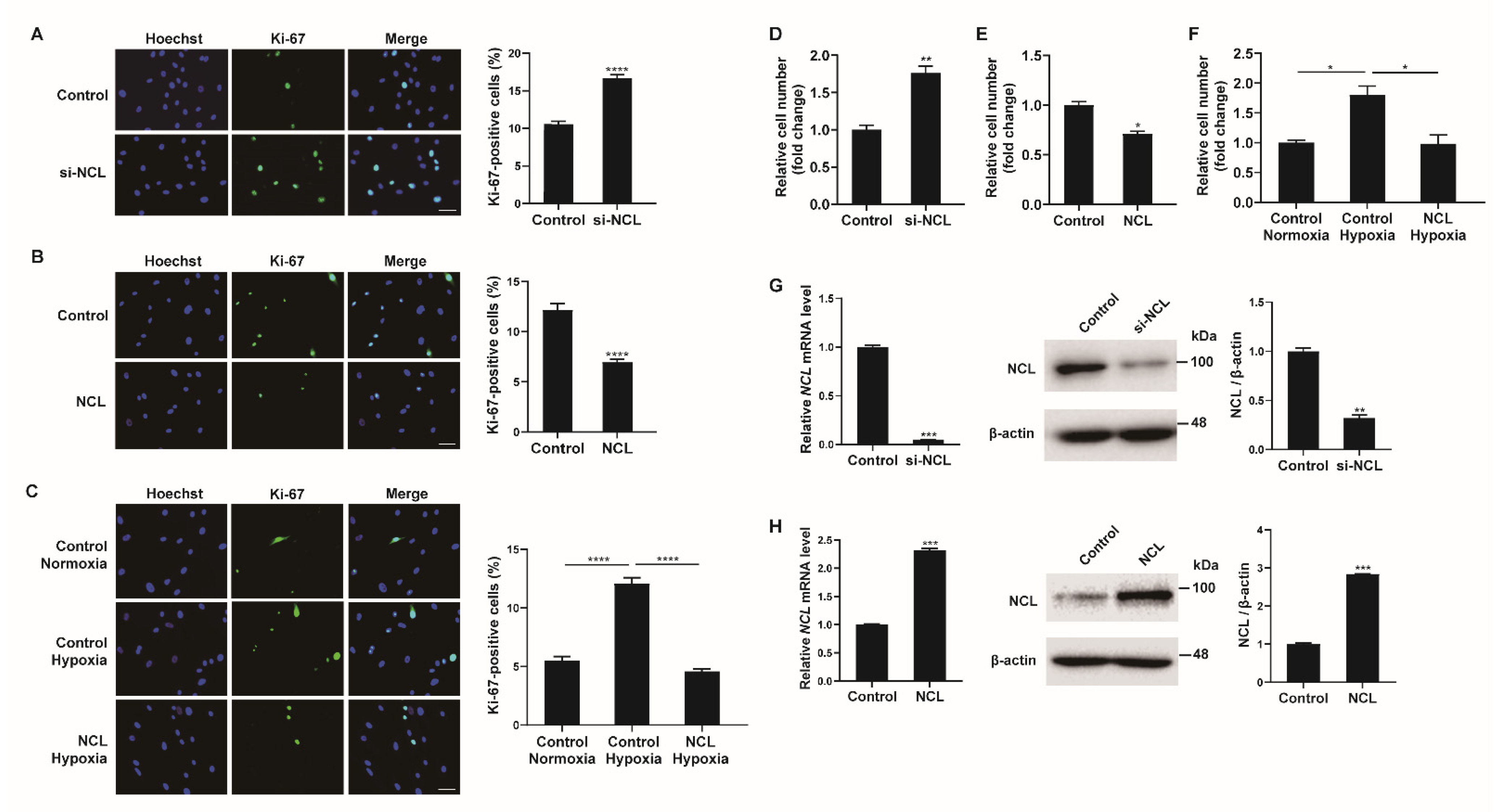 Cells 12 00817 g002 Cells 12 00817 g002