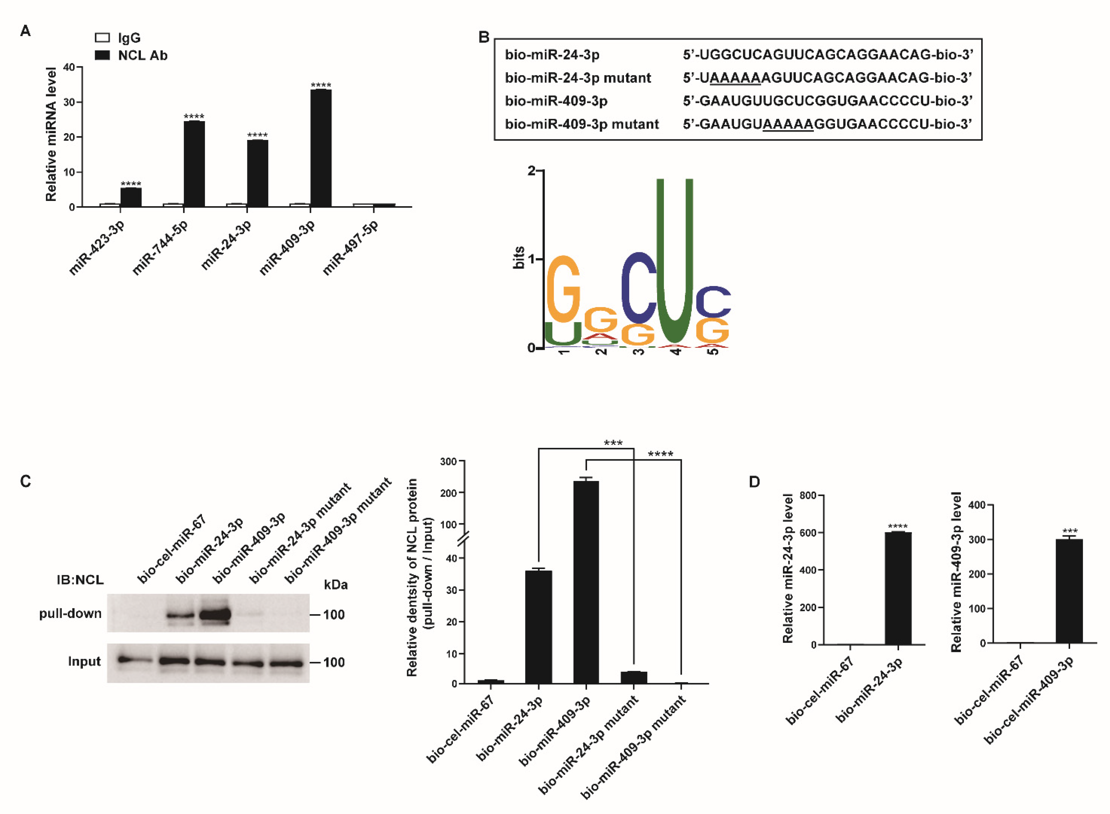 Cells 12 00817 g003 Cells 12 00817 g003