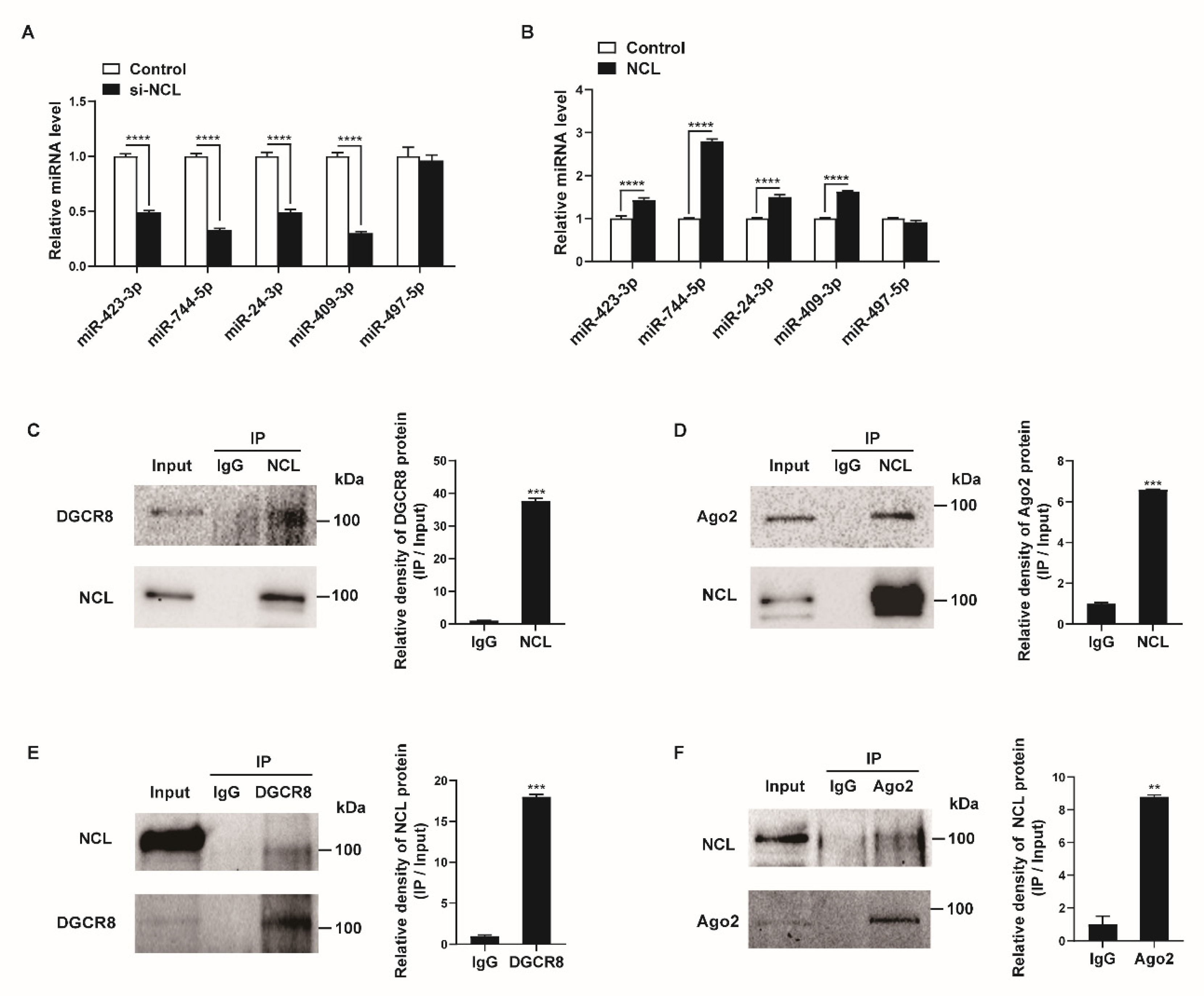 Cells 12 00817 g004 Cells 12 00817 g004