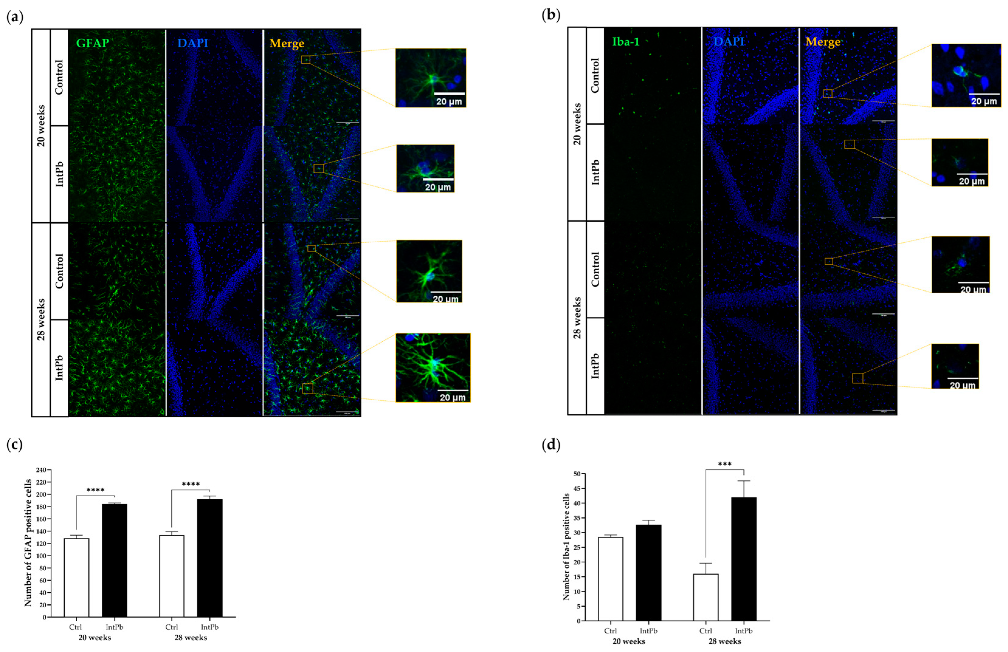 Cells 12 00818 g005 Cells 12 00818 g005