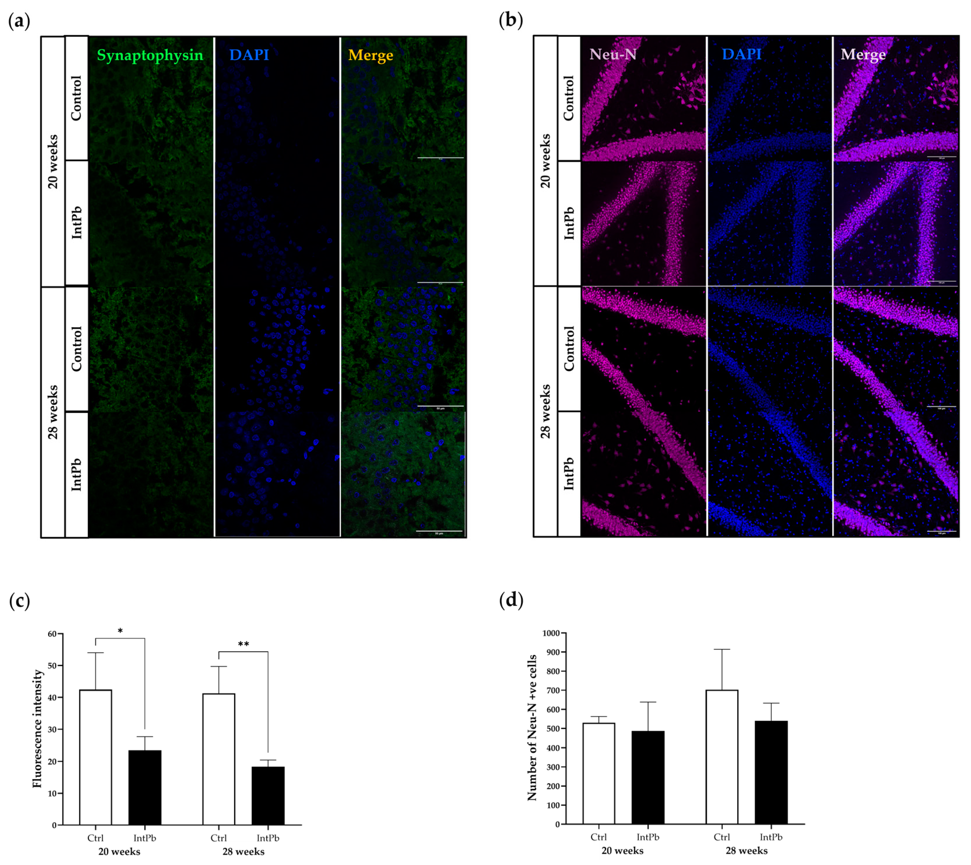 Cells 12 00818 g006 Cells 12 00818 g006