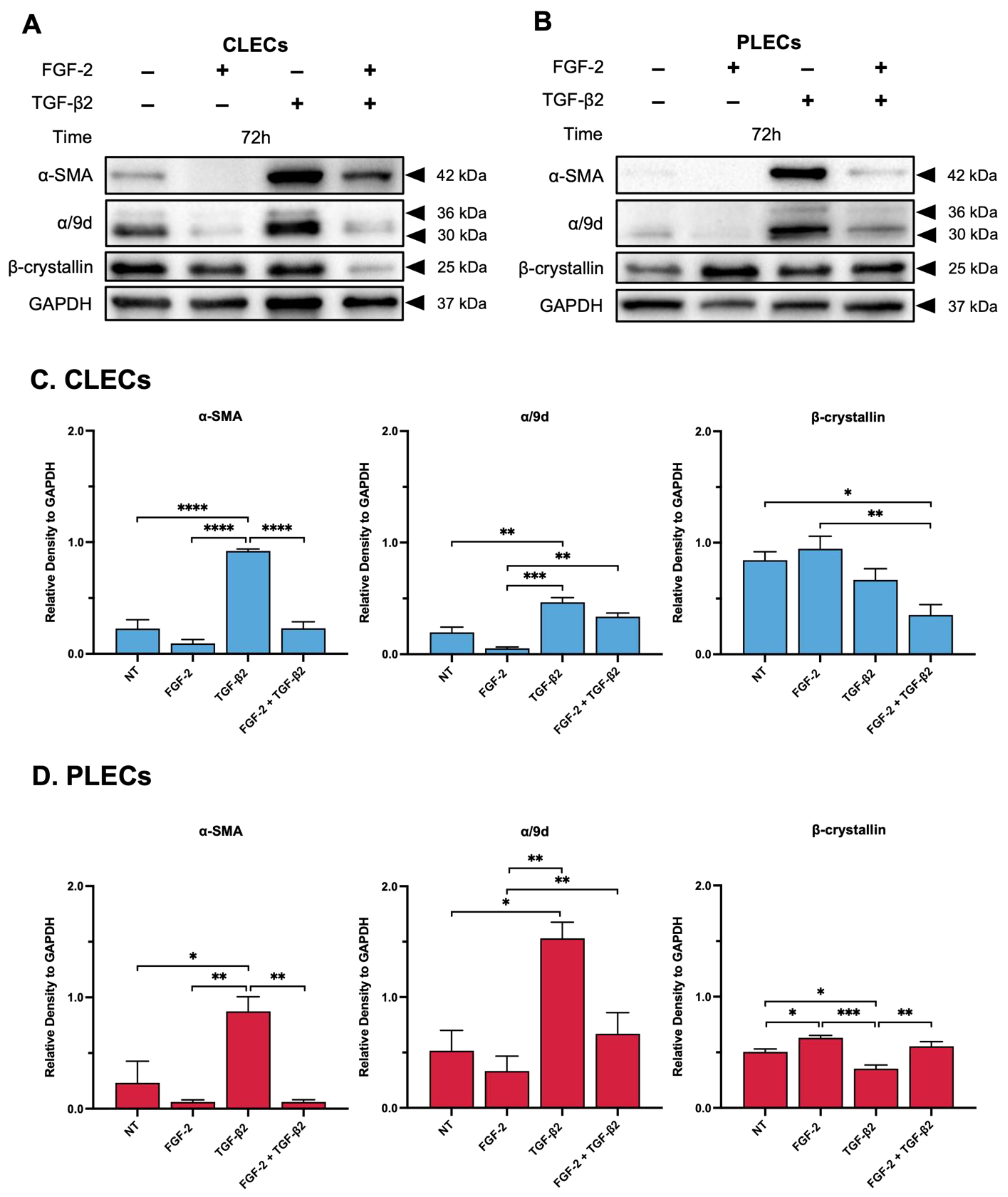 Cells 12 00827 g004 Cells 12 00827 g004
