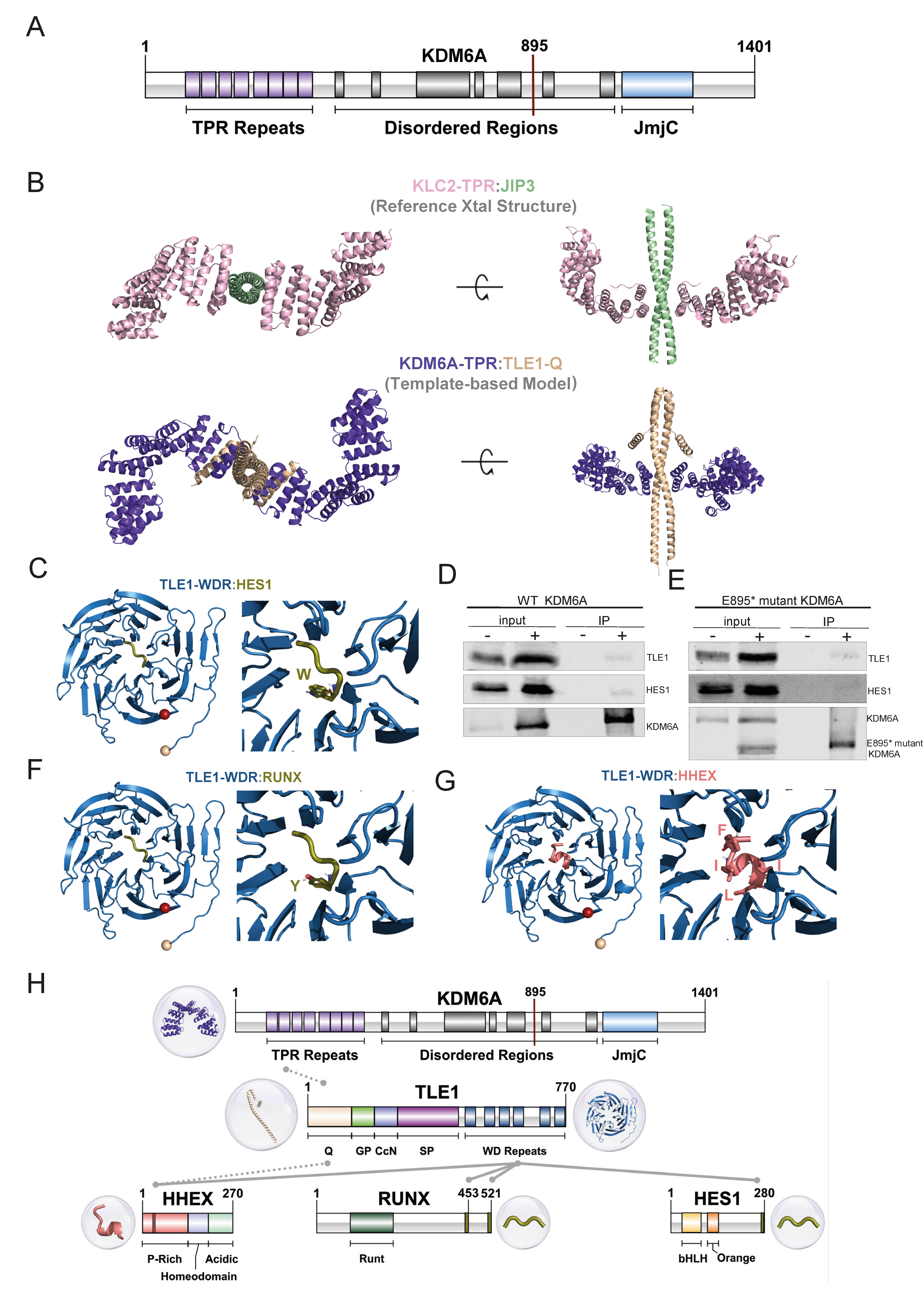 Cells 12 00836 g005