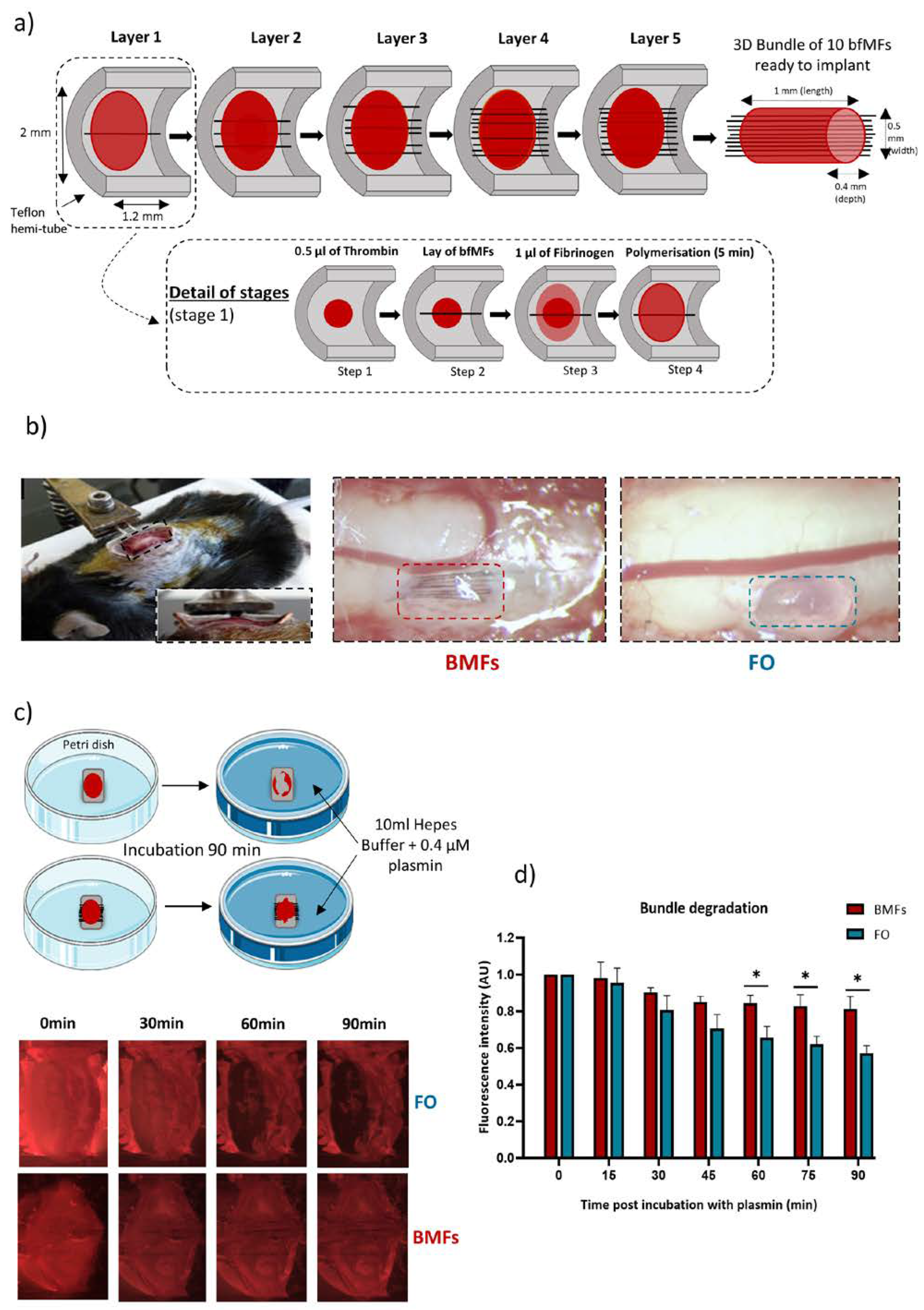 Cells 12 00839 g001 Cells 12 00839 g001