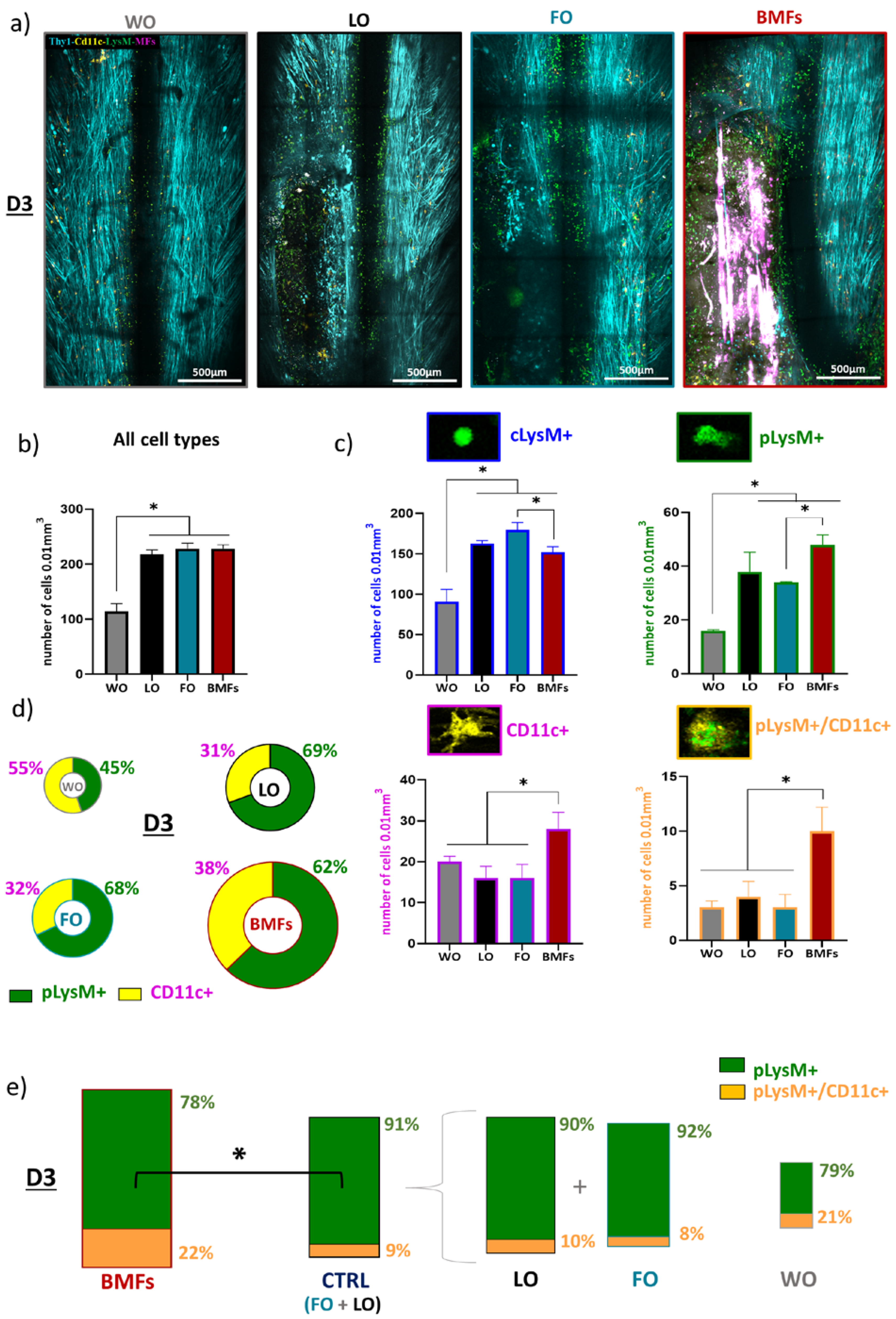 Cells 12 00839 g002 Cells 12 00839 g002