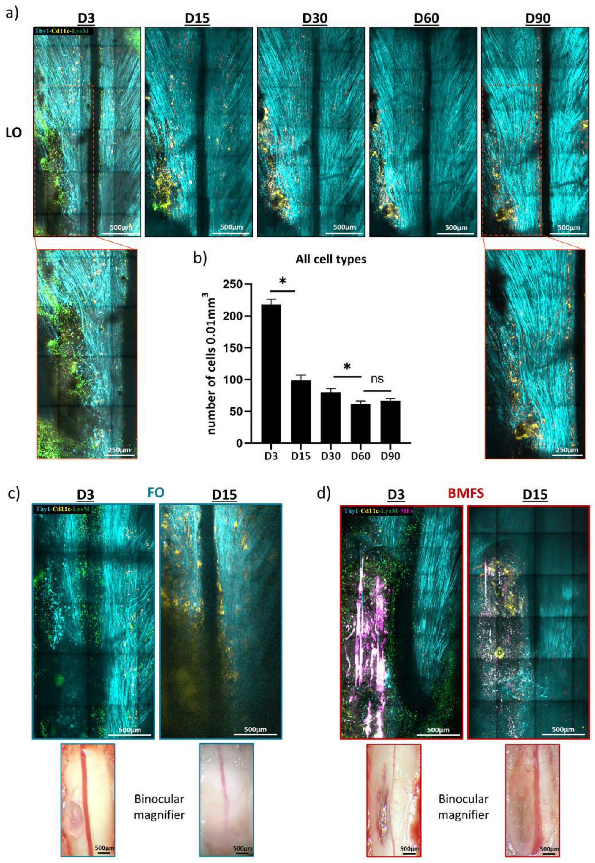 Cells 12 00839 g003 Cells 12 00839 g003