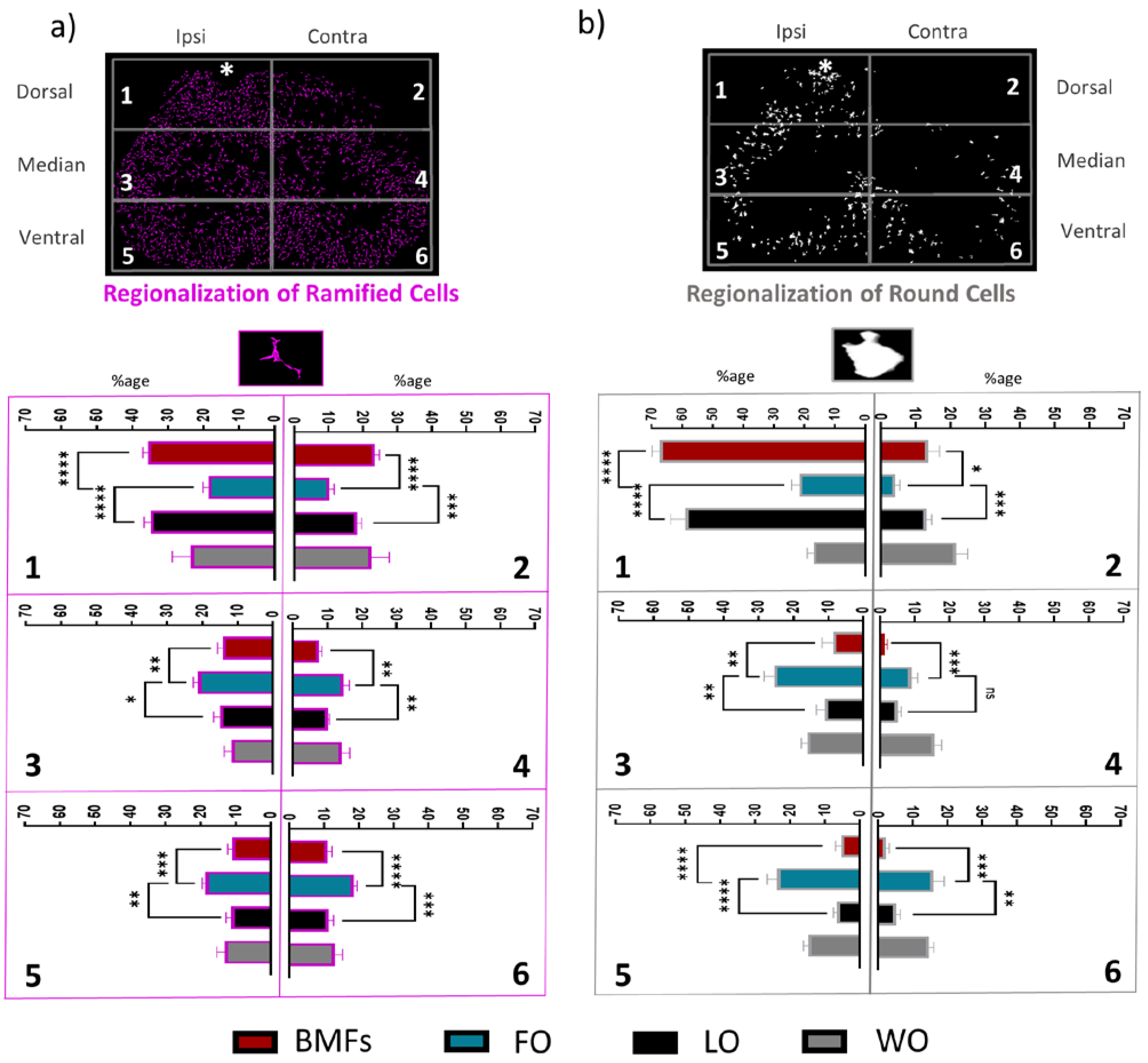 Cells 12 00839 g006 Cells 12 00839 g006