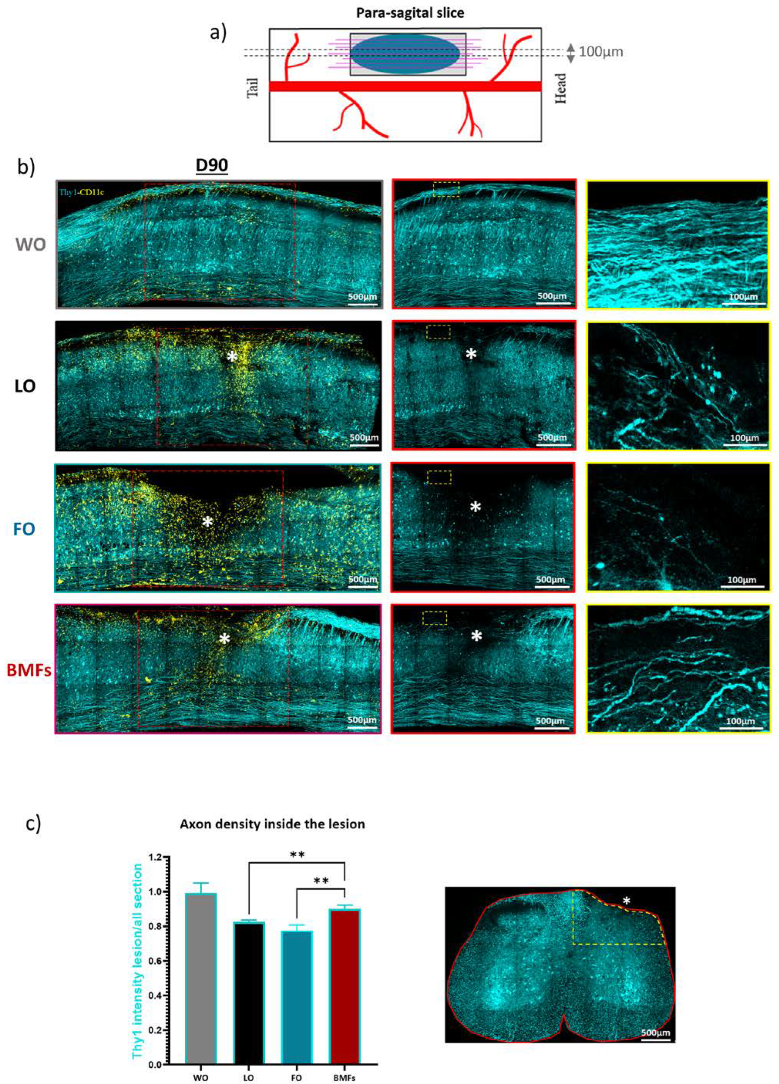 Cells 12 00839 g007 Cells 12 00839 g007