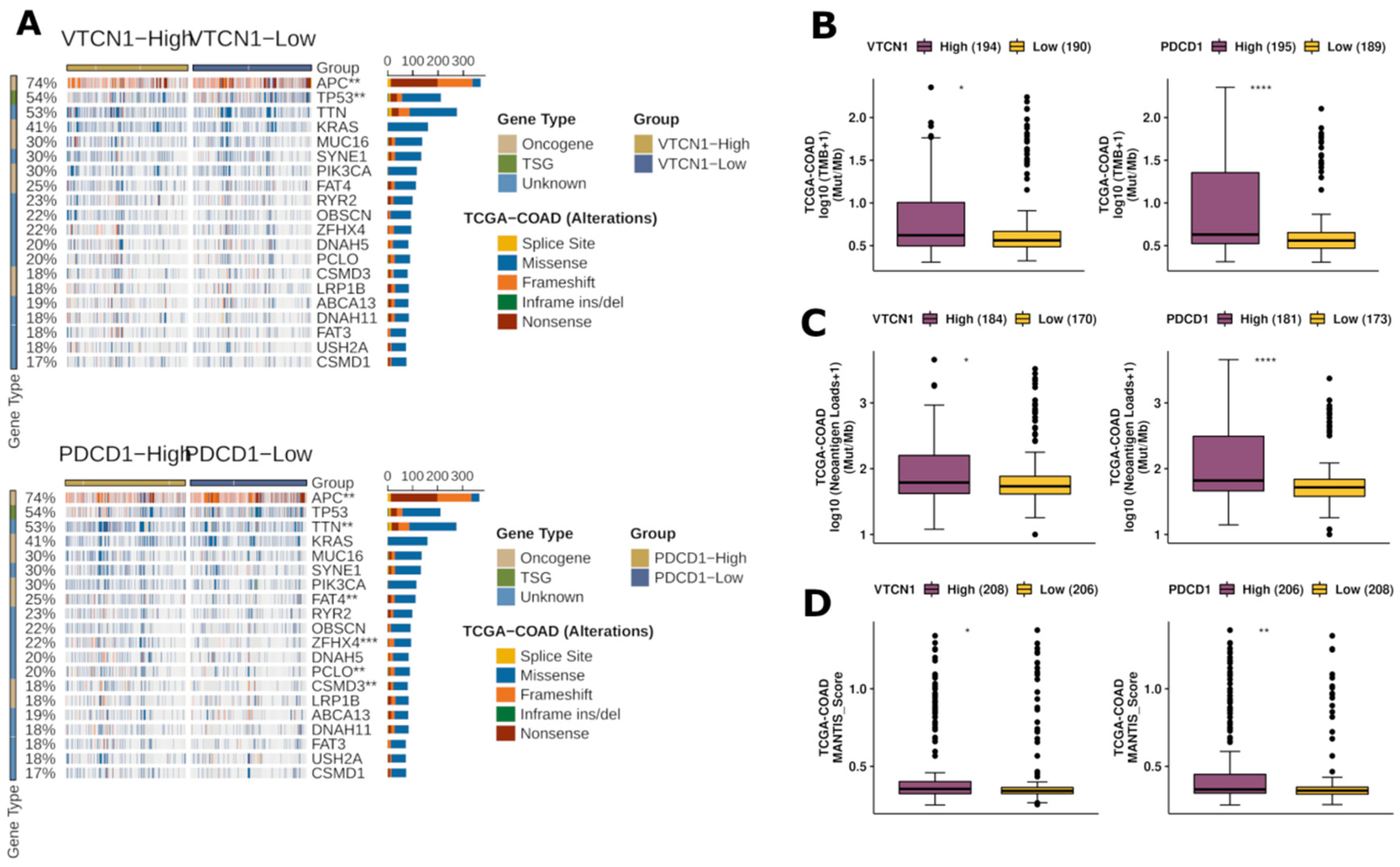 Cells 12 00861 g007 Cells 12 00861 g007