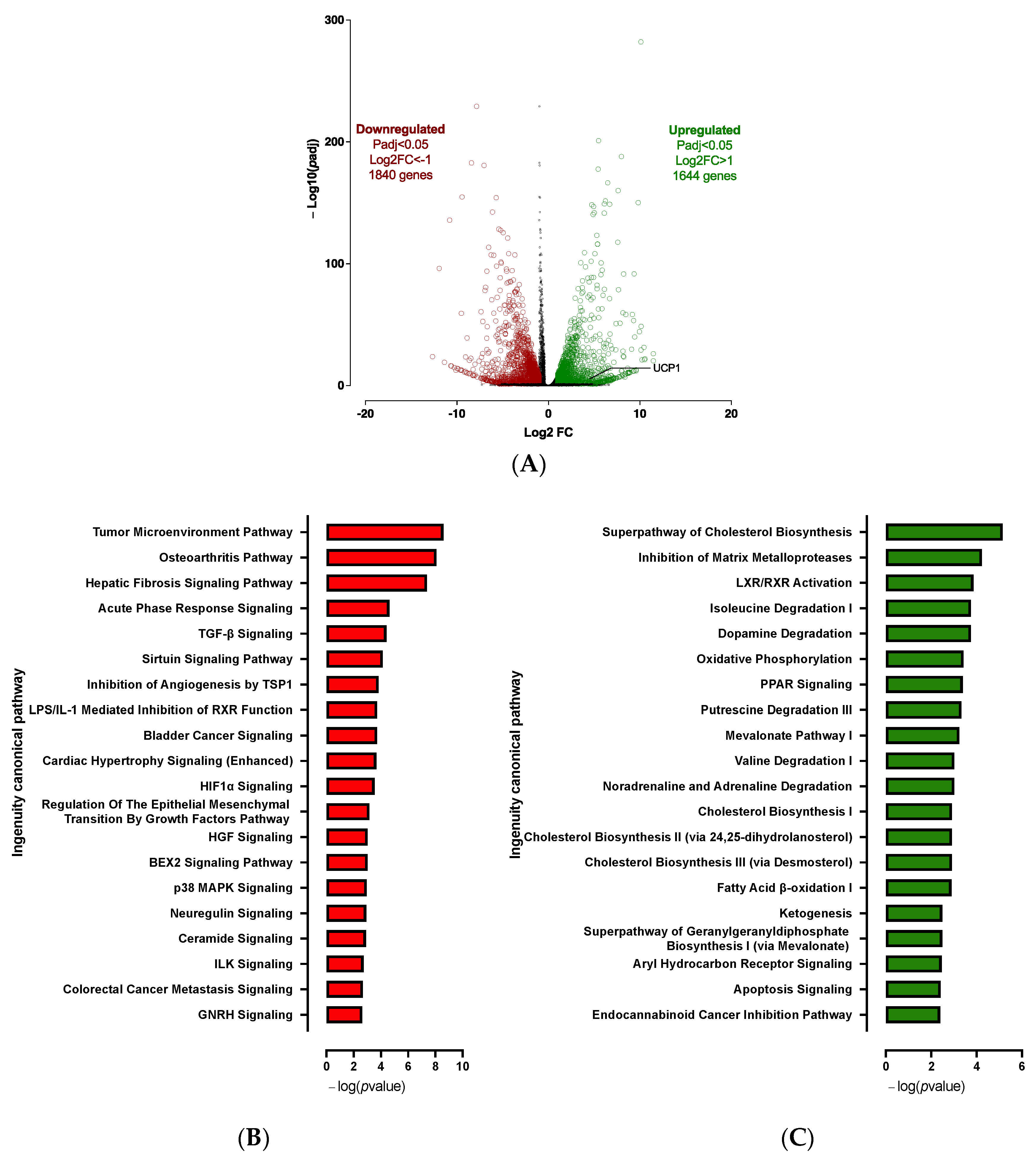 Cells 12 00870 g002 Cells 12 00870 g002