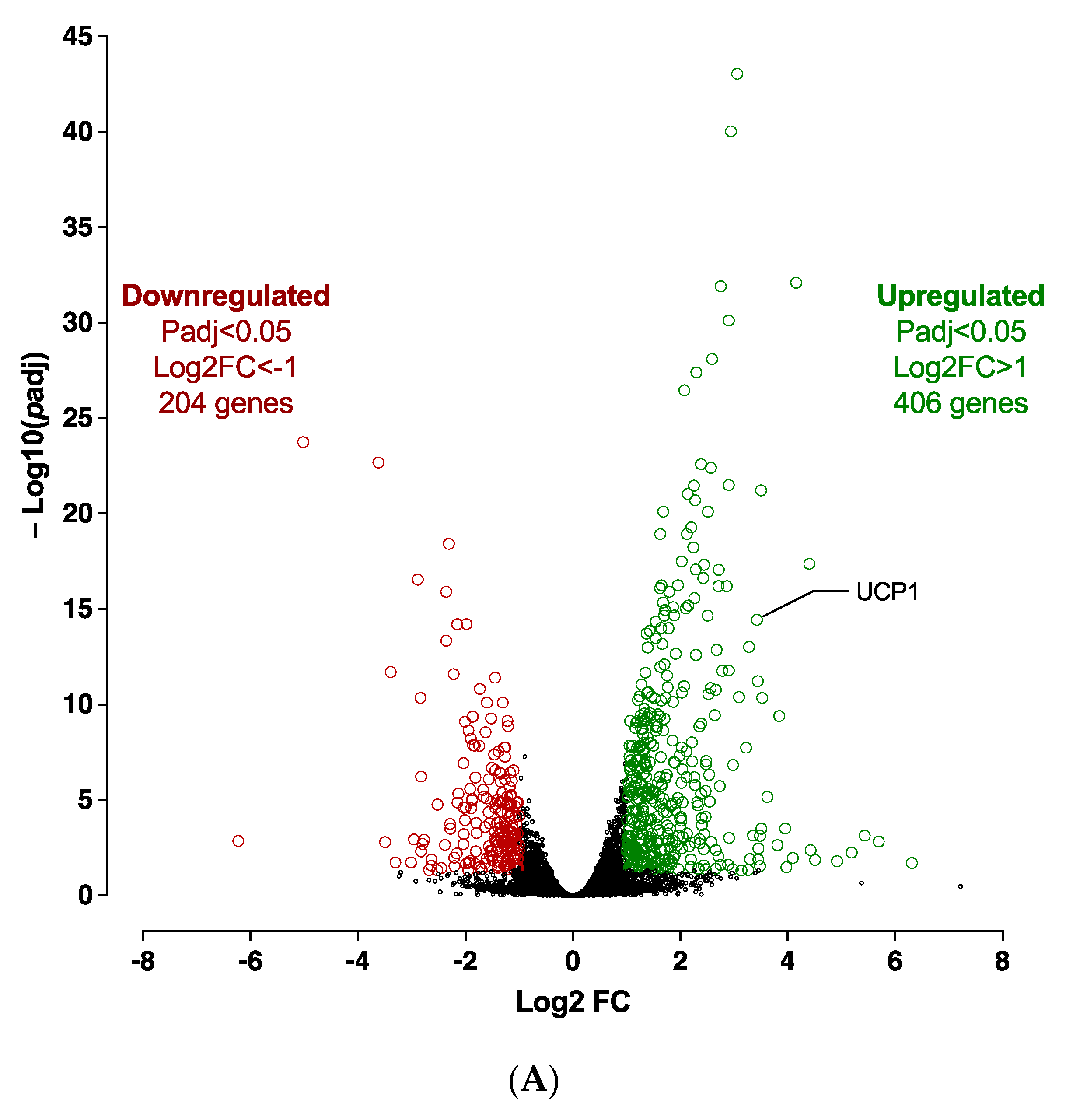 Cells 12 00870 g008a Cells 12 00870 g008a