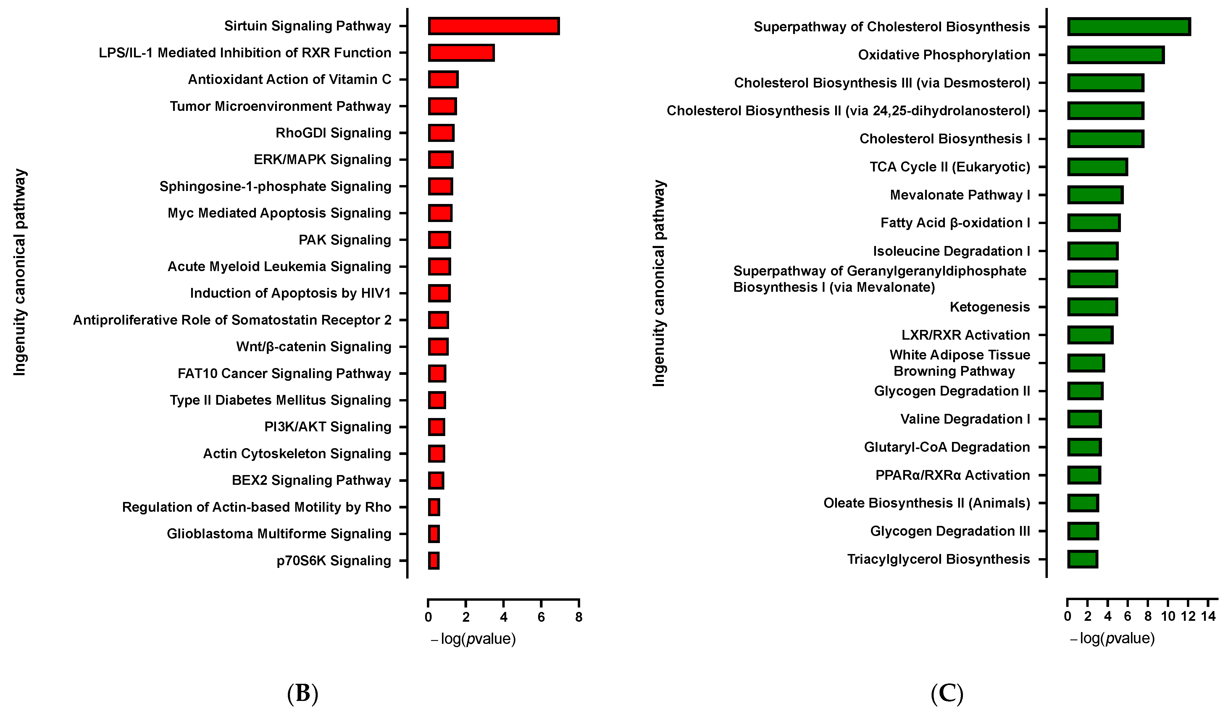Cells 12 00870 g008b Cells 12 00870 g008b