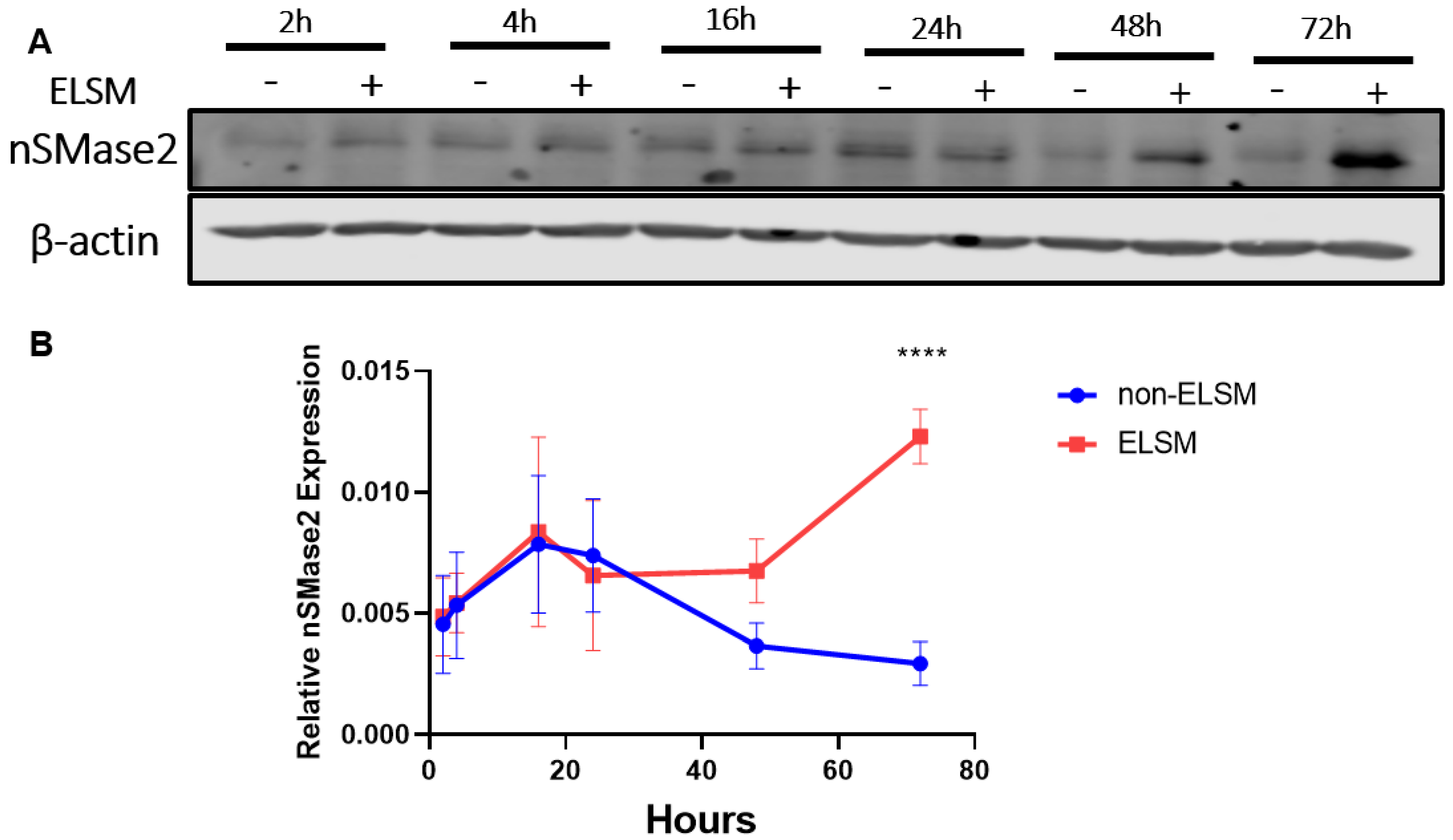 Cells 12 00875 g003 Cells 12 00875 g003