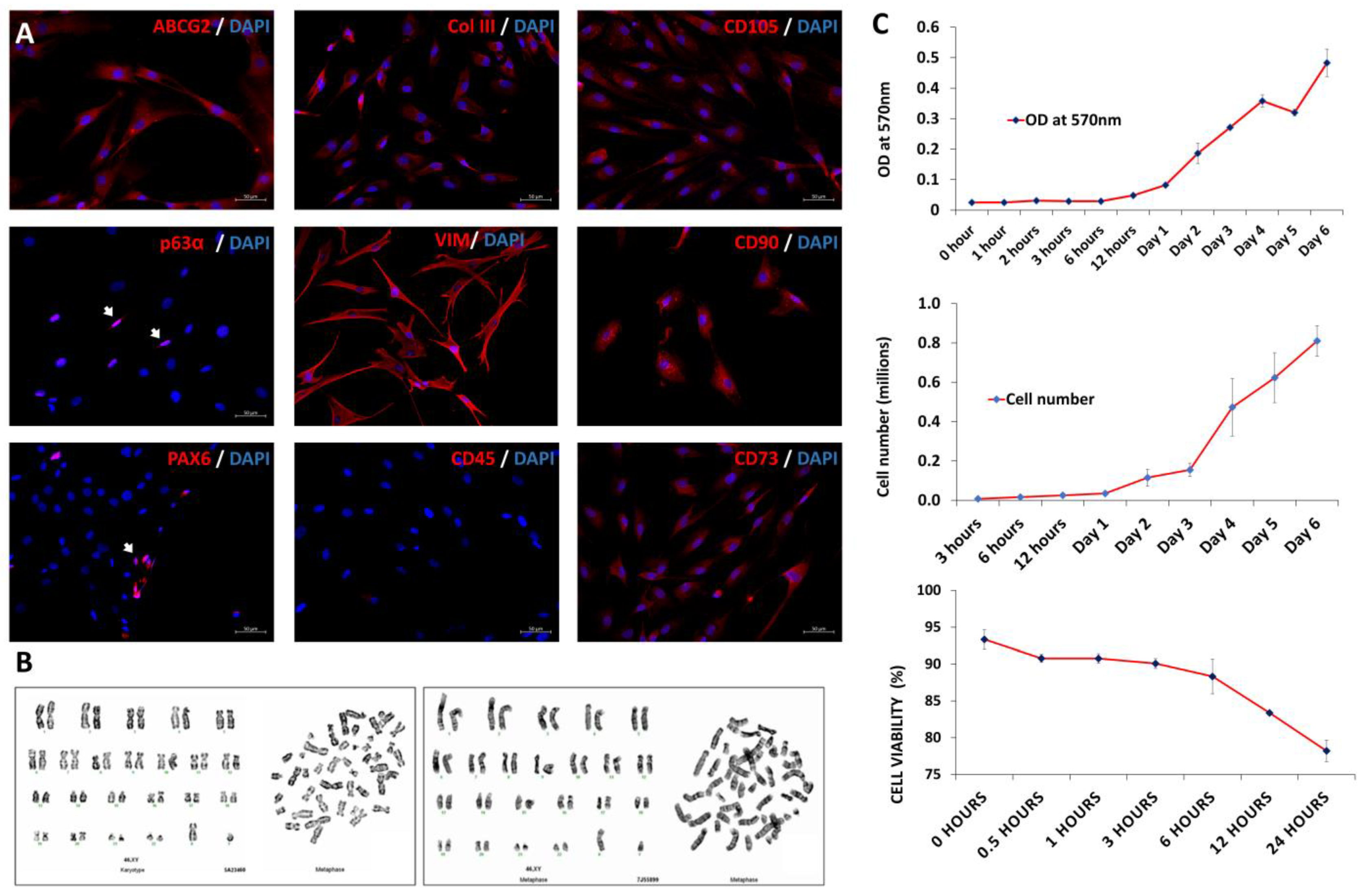 Cells 12 00876 g002 Cells 12 00876 g002