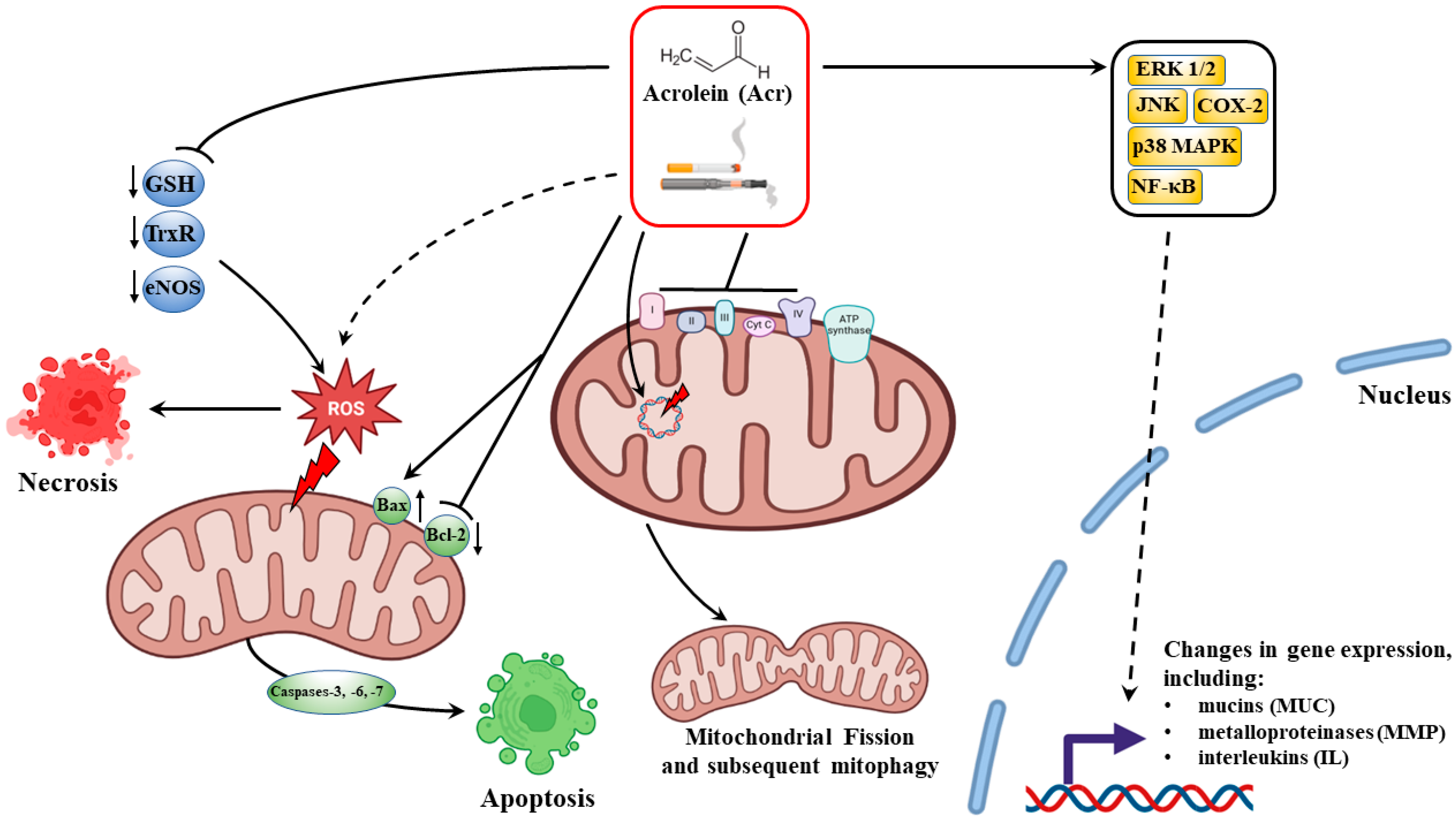 Cells 12 00879 g001 Cells 12 00879 g001