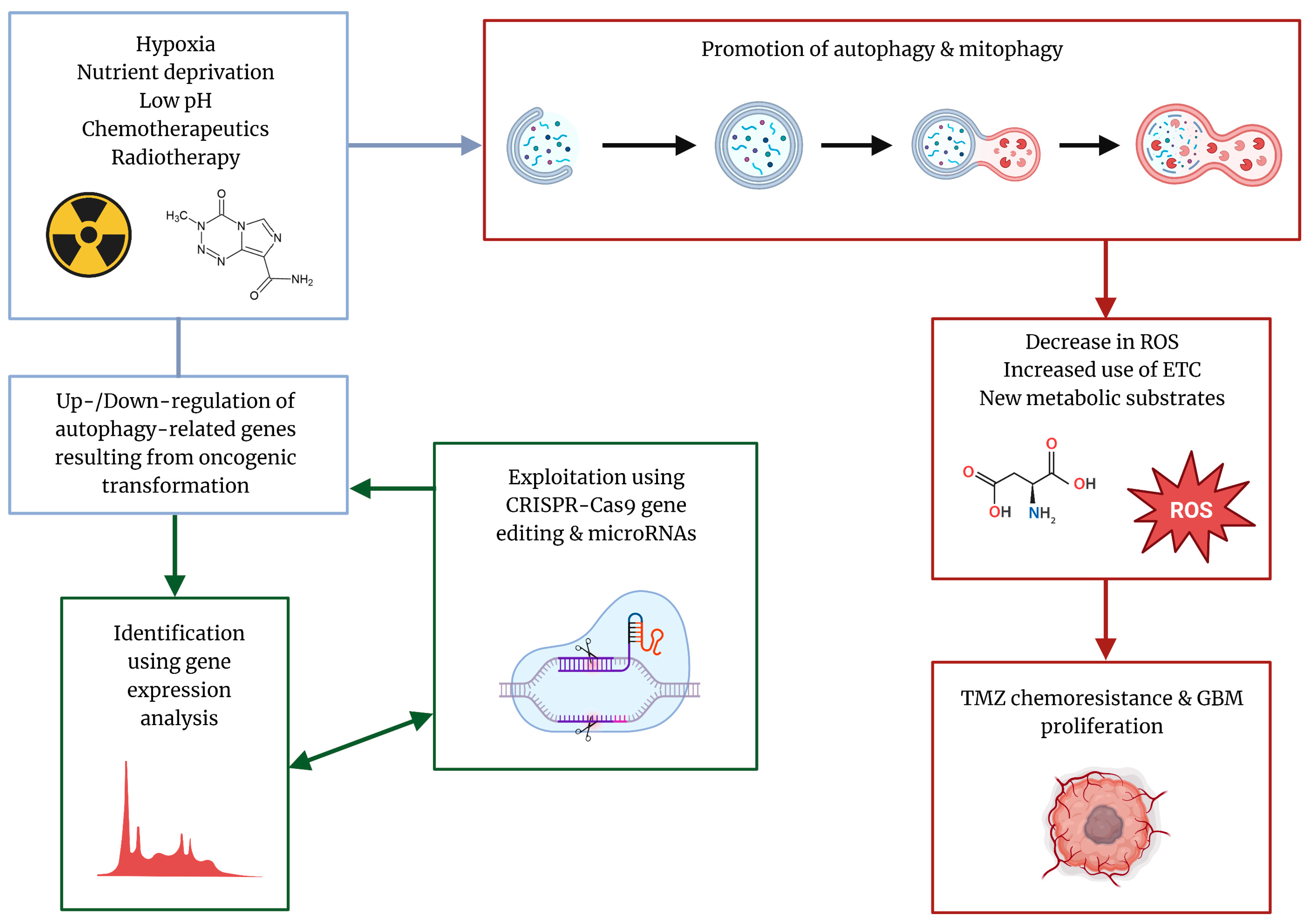 Cells 12 00897 g001 Cells 12 00897 g001