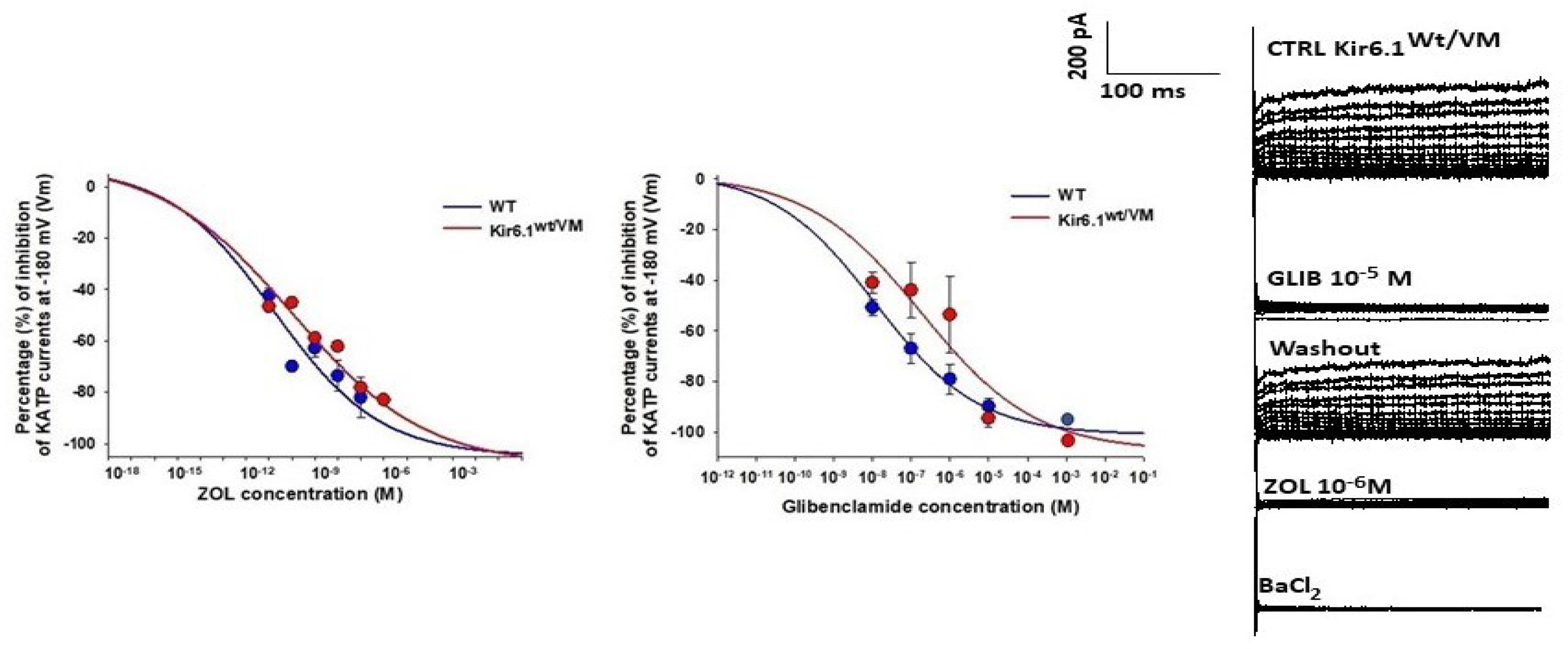 Cells 12 00928 g003 Cells 12 00928 g003